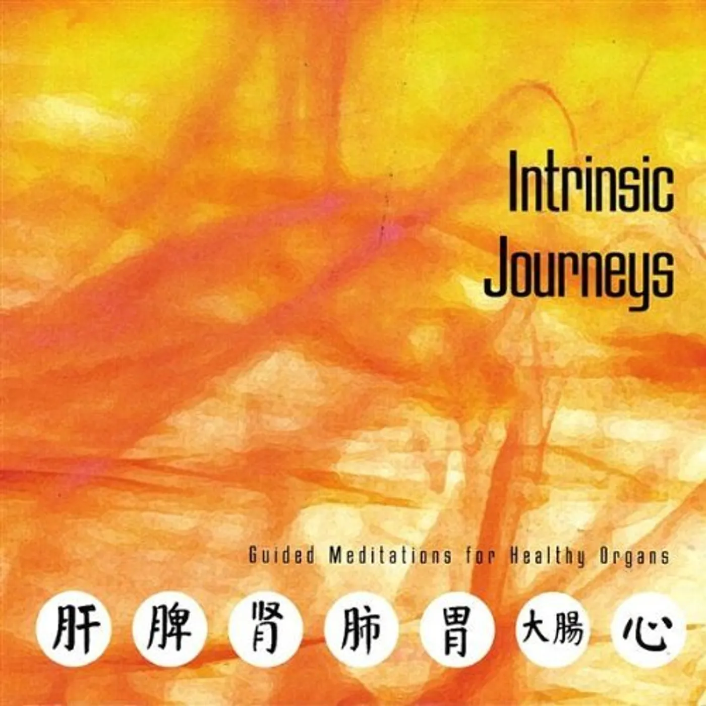 Wendy Goodwin INTRINSIC JOURNEYS: GUIDED MEDITATIONS FOR HEALTHY CD