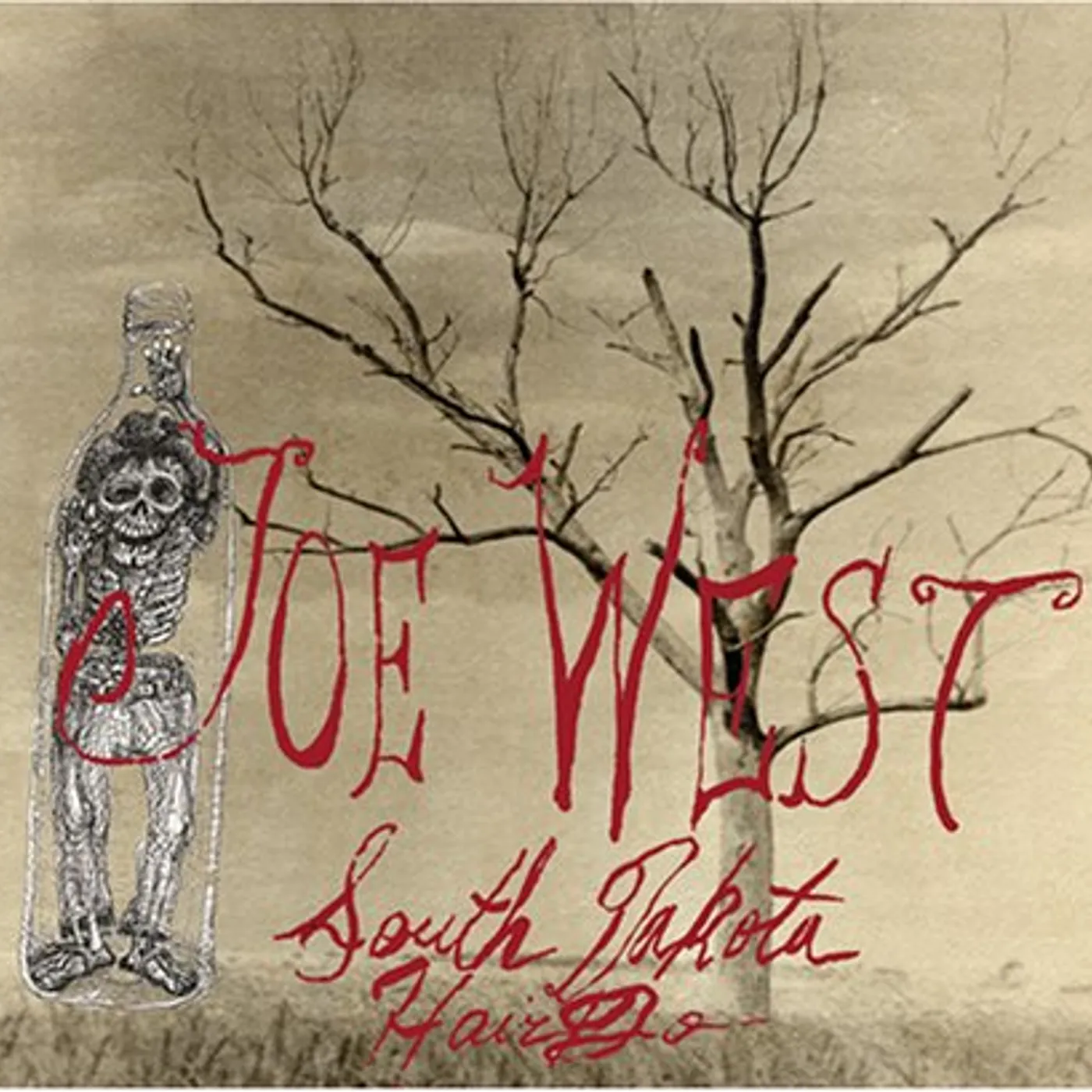 Joe West SOUTH DAKOTA HAIRDO CD