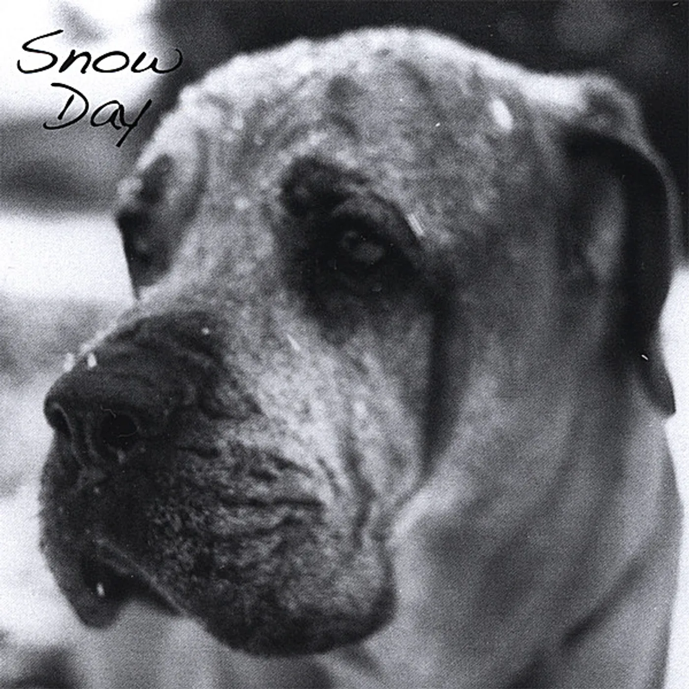 Heidi Winzinger SNOW DAY CD