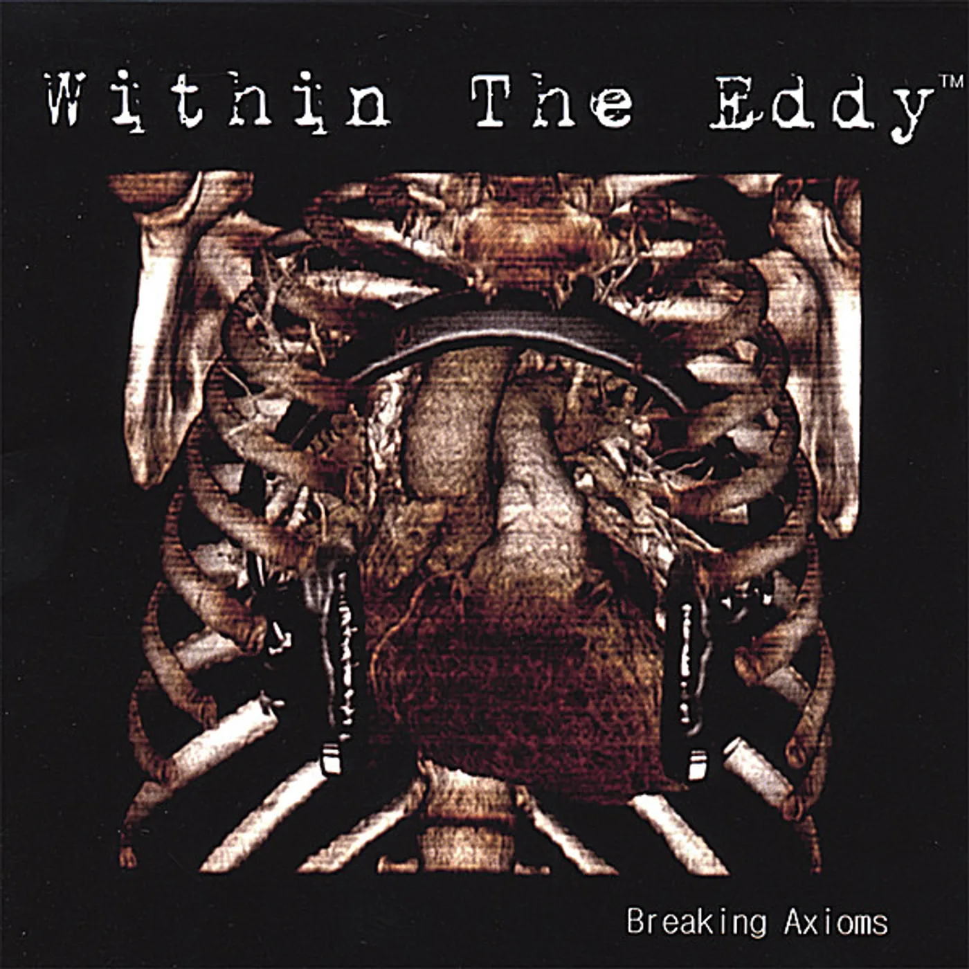 Within The Eddy BREAKING AXIOMS CD