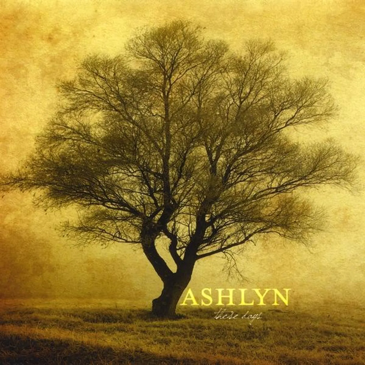 Ashlyn THESE DAYS CD