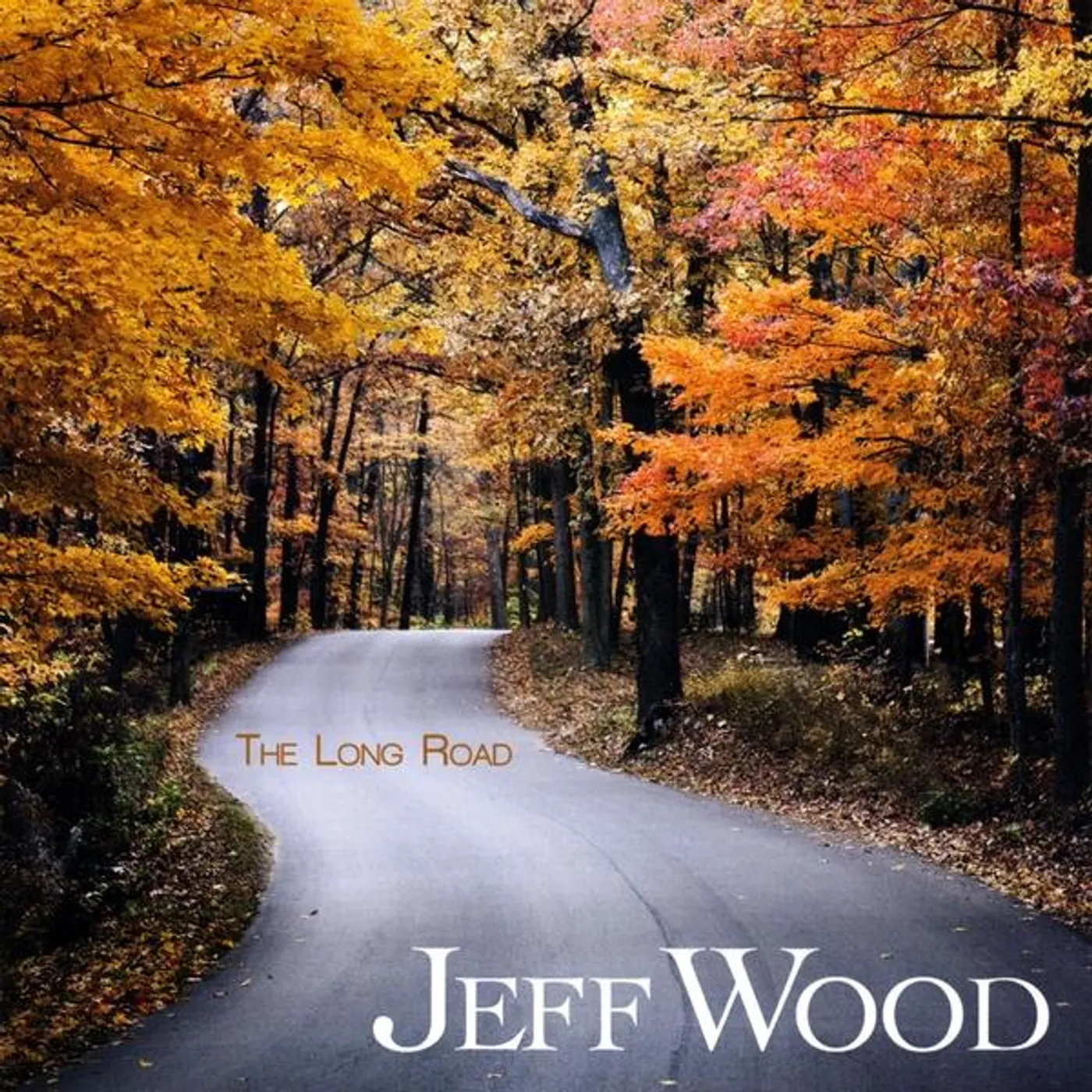 Jeff Wood LONG ROAD CD
