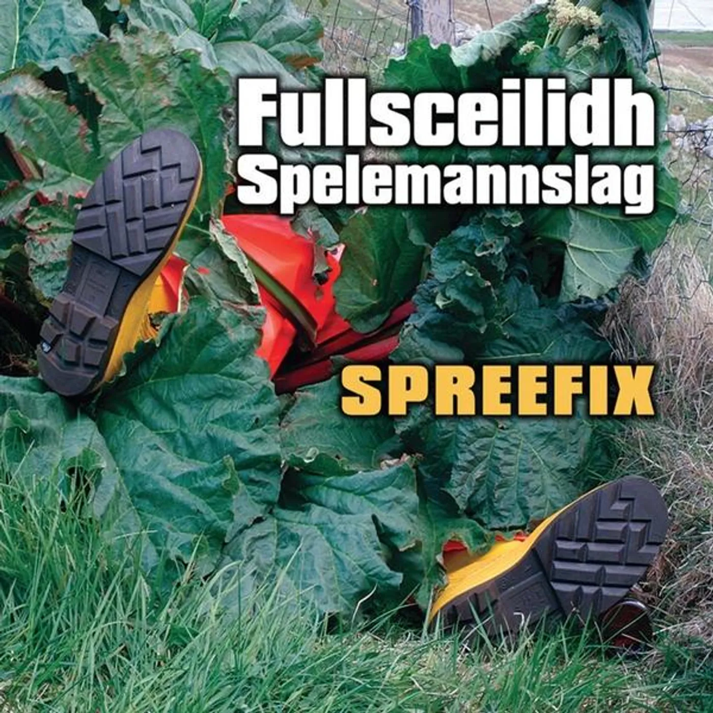 fullsceilidh spelemannslag SPREEFIX CD