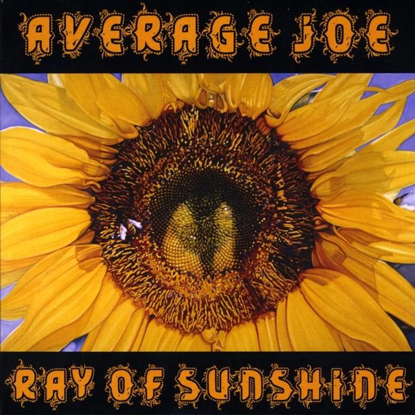 Average Joe RAY OF SUNSHINE CD
