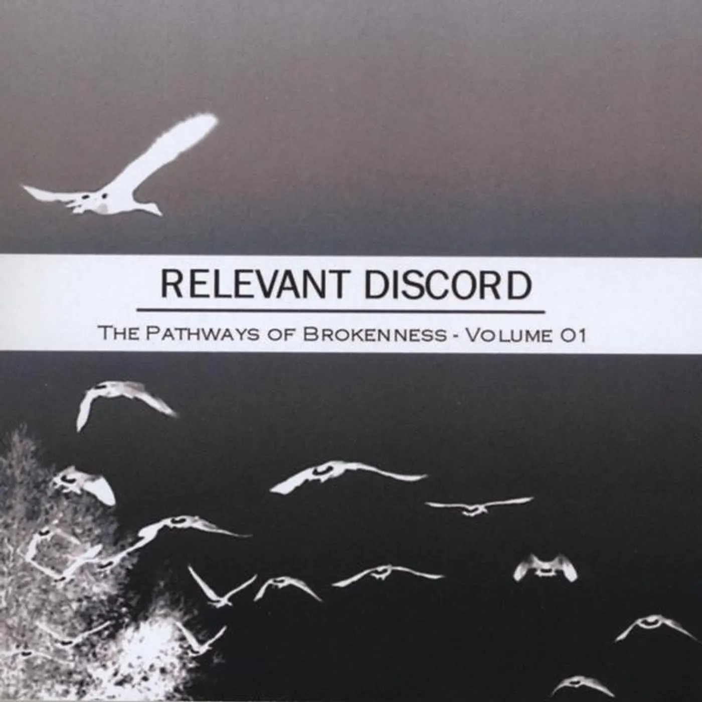 Relevant Discord PATHWAYS OF BROKENNESS 1 CD