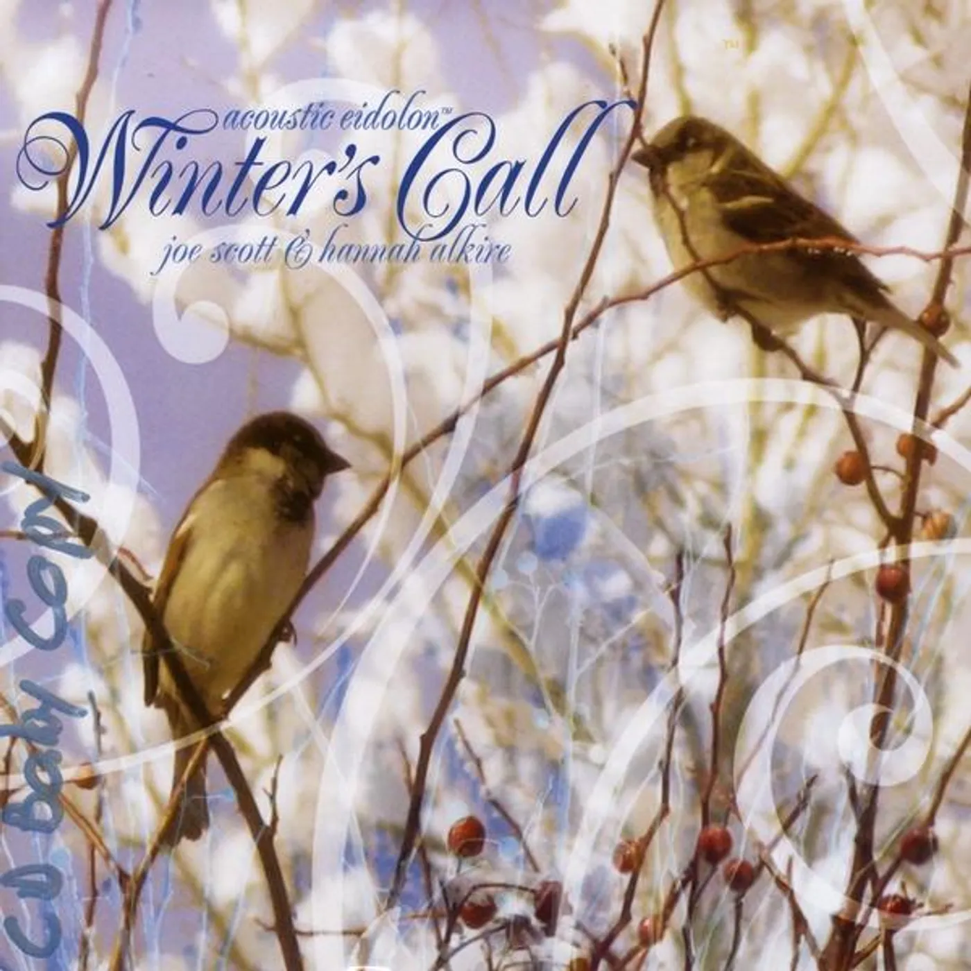 Acoustic Eidolon WINTER'S CALL CD