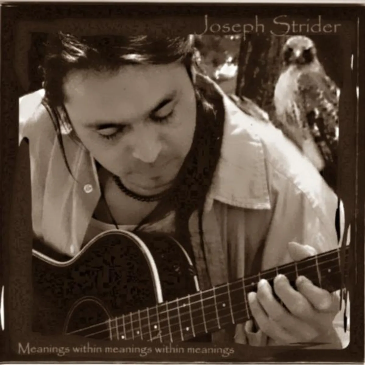 Joseph Strider MEANINGS WITHIN MEANINGS WITHIN MEANINGS CD