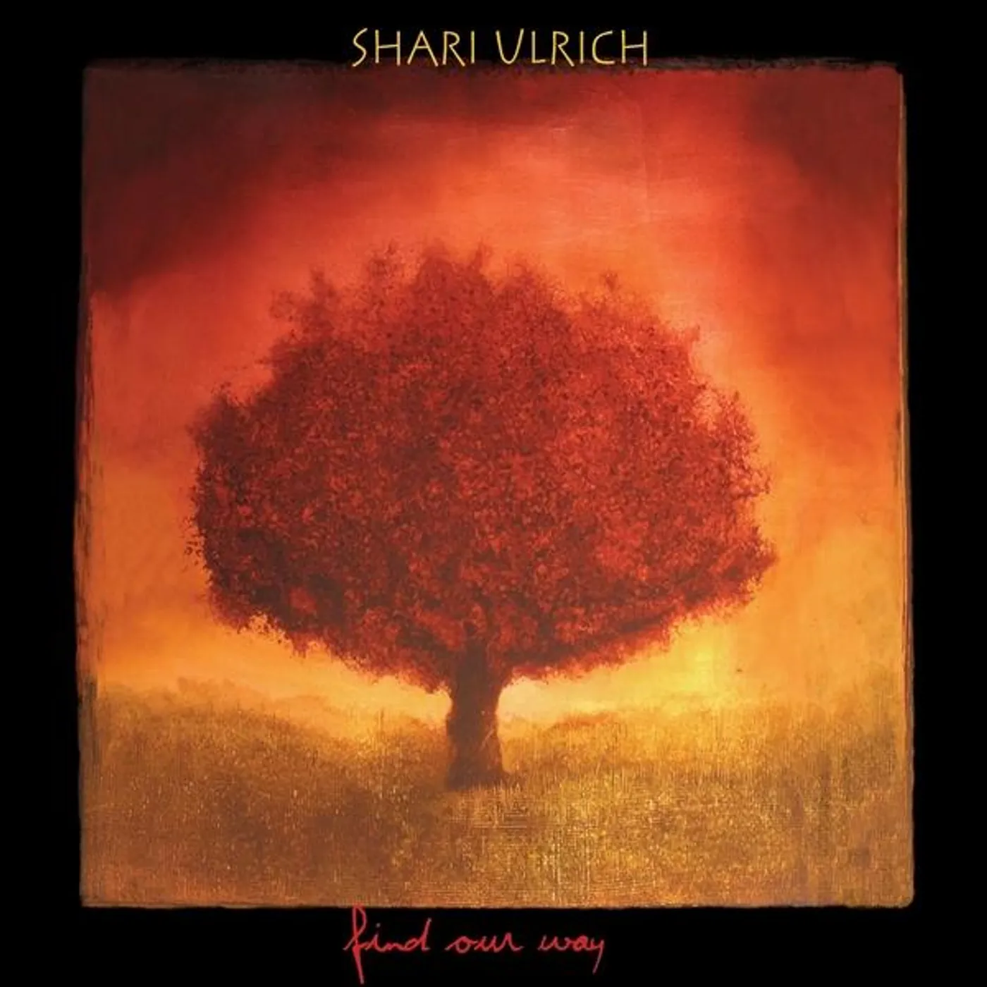 Shari Ulrich FIND OUR WAY CD