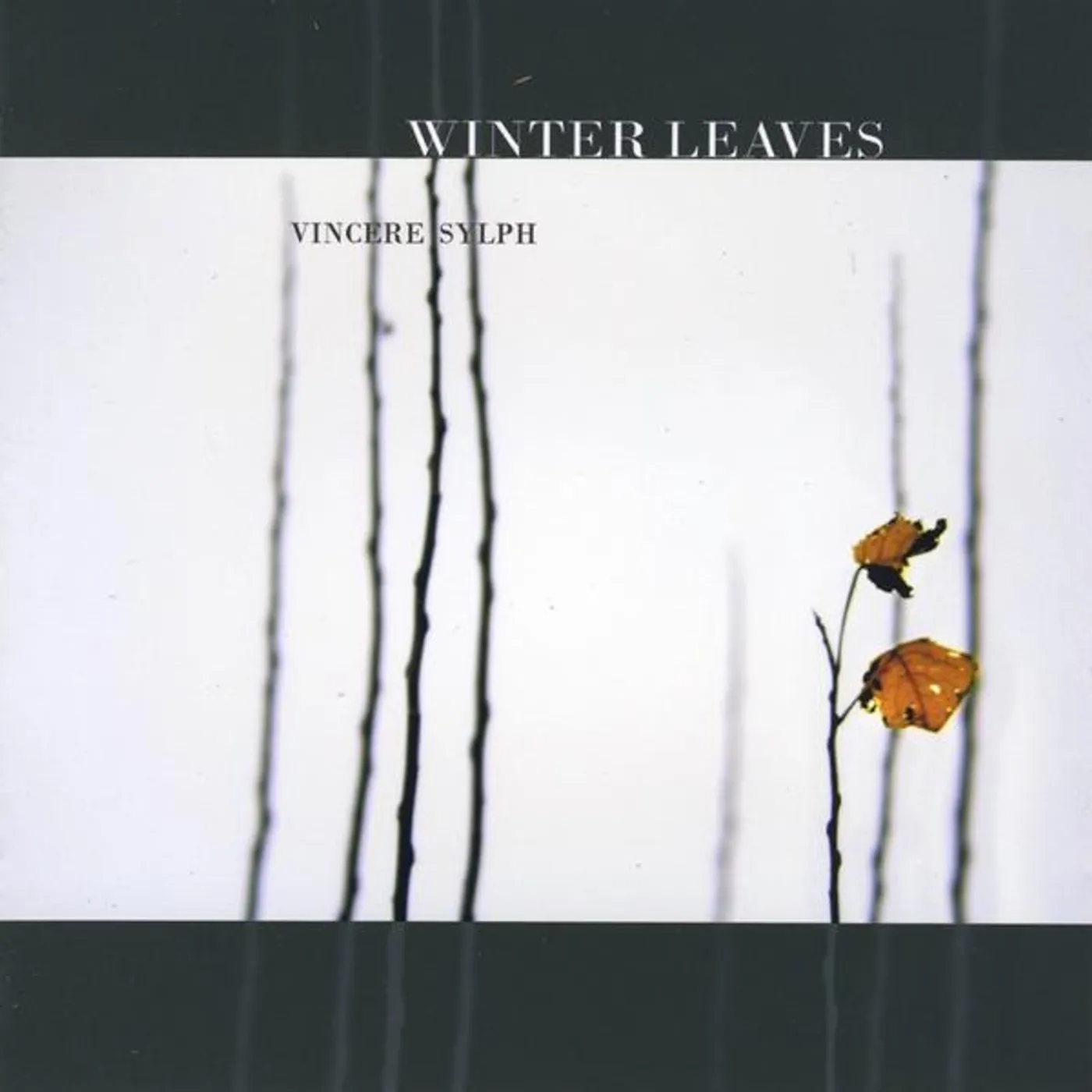 Vincere Sylph WINTER LEAVES CD