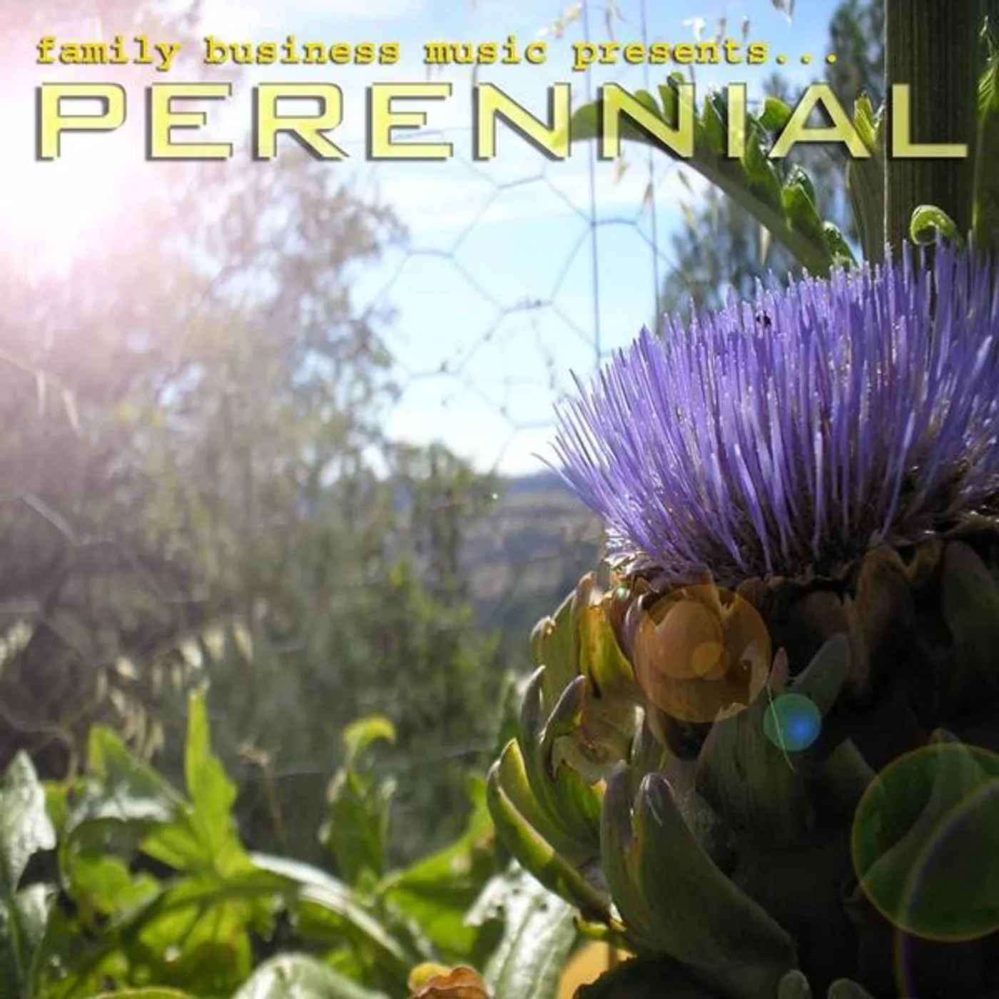 Hap Hathaway PERENNIAL CD