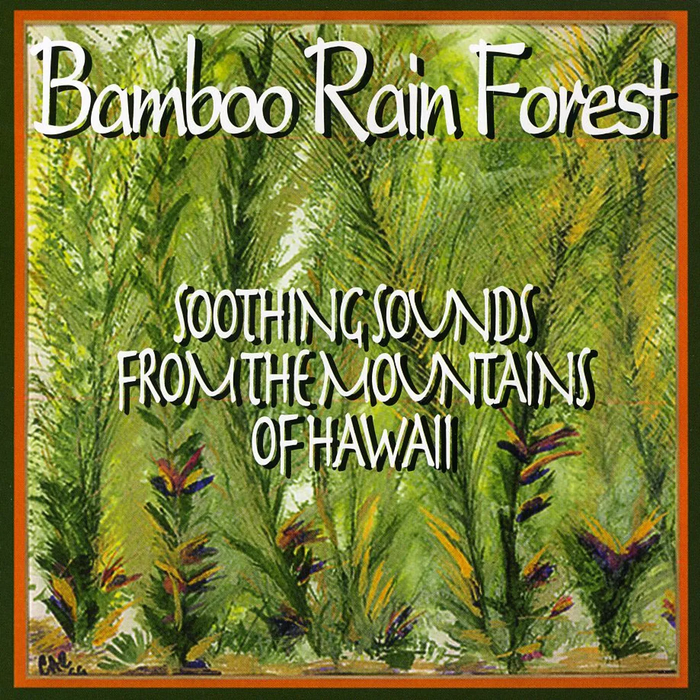 Patrick Von BAMBOO RAIN FOREST CD