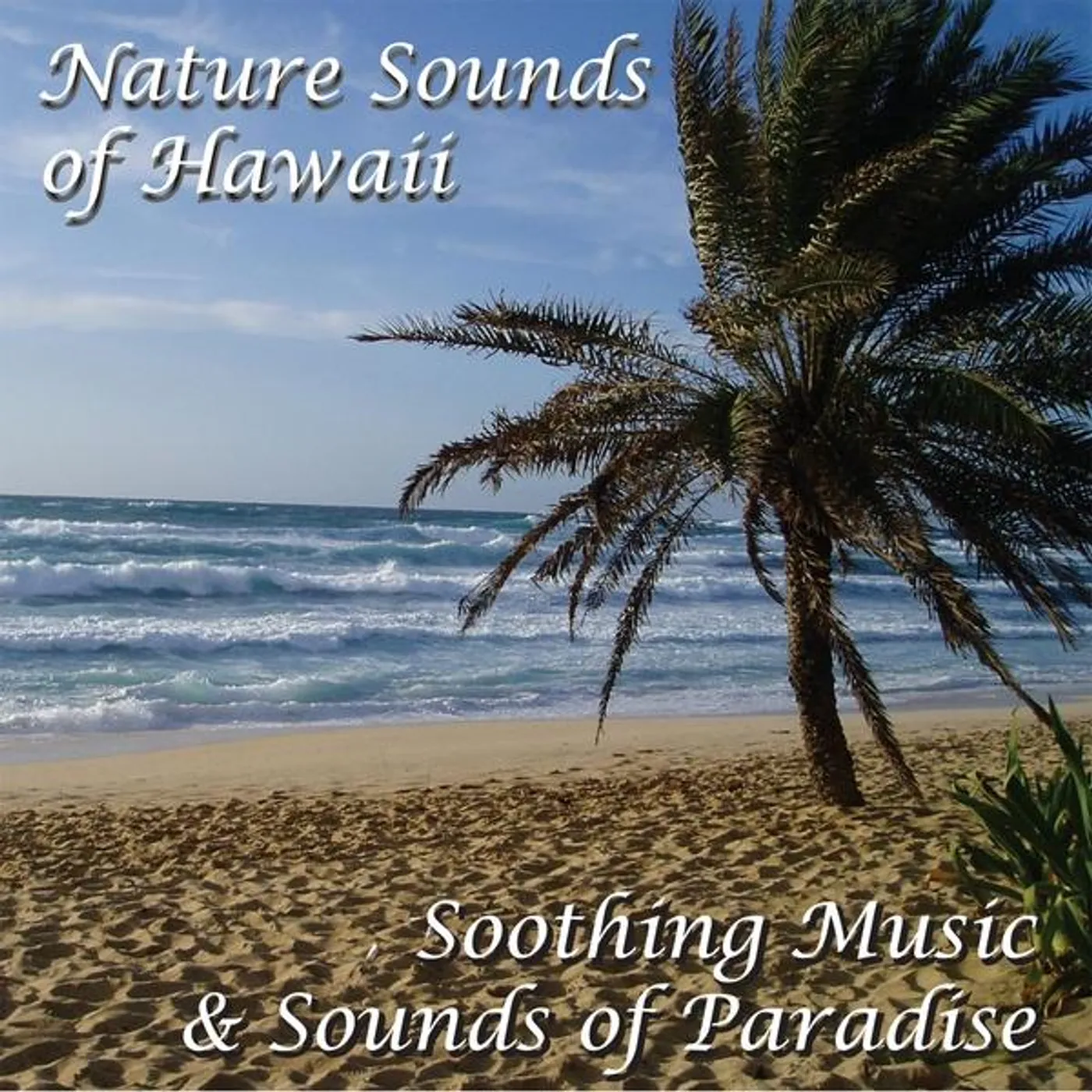 Patrick Von NATURE SOUNDS OF HAWAII CD