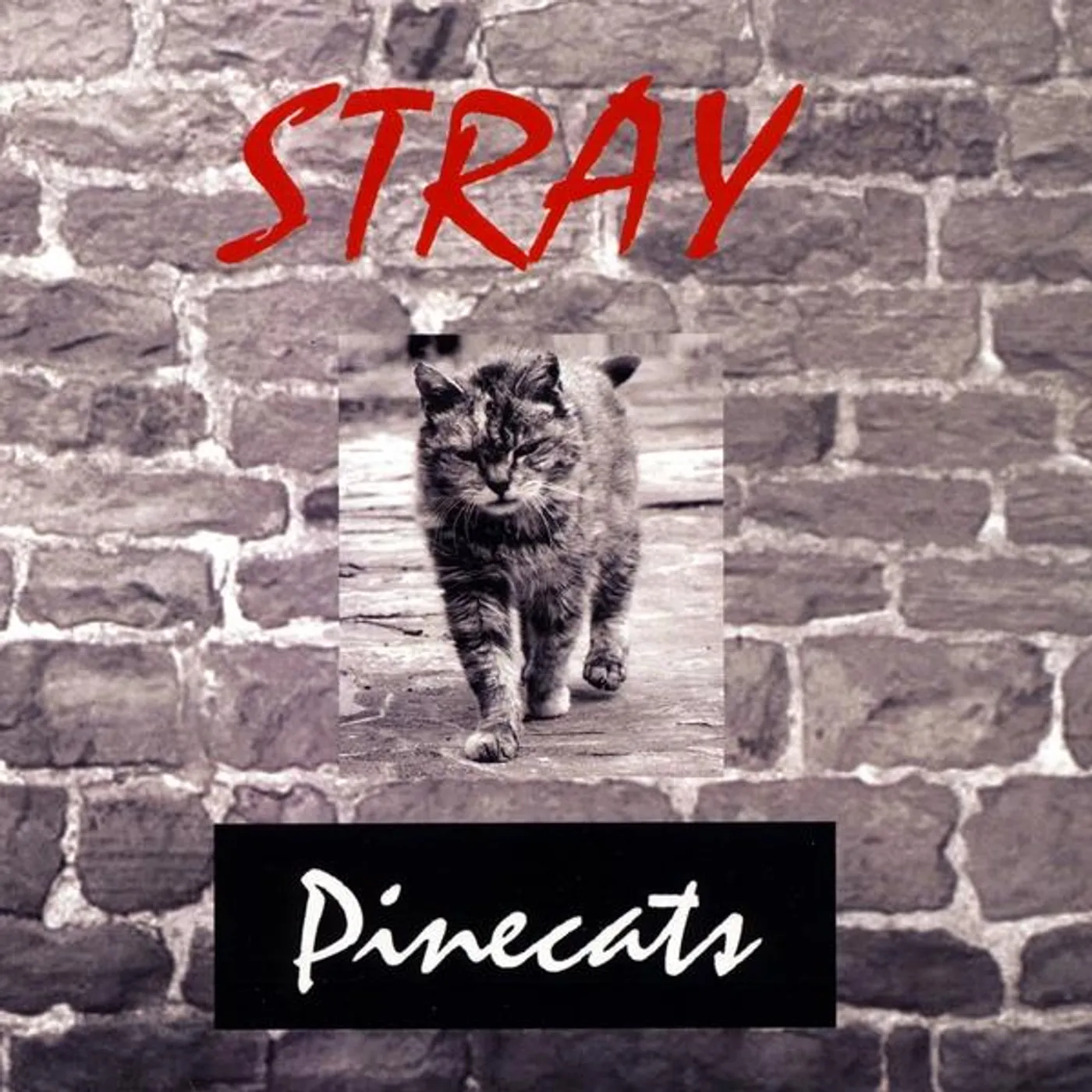 Pinecats STRAY CD