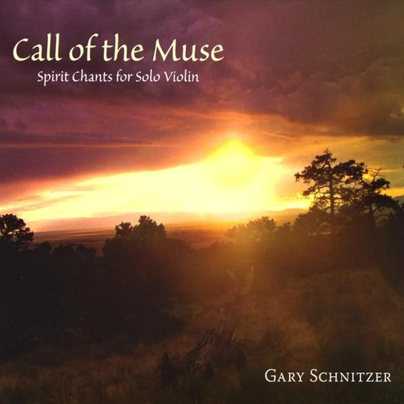 Gary Schnitzer CALL OF THE MUSE CD