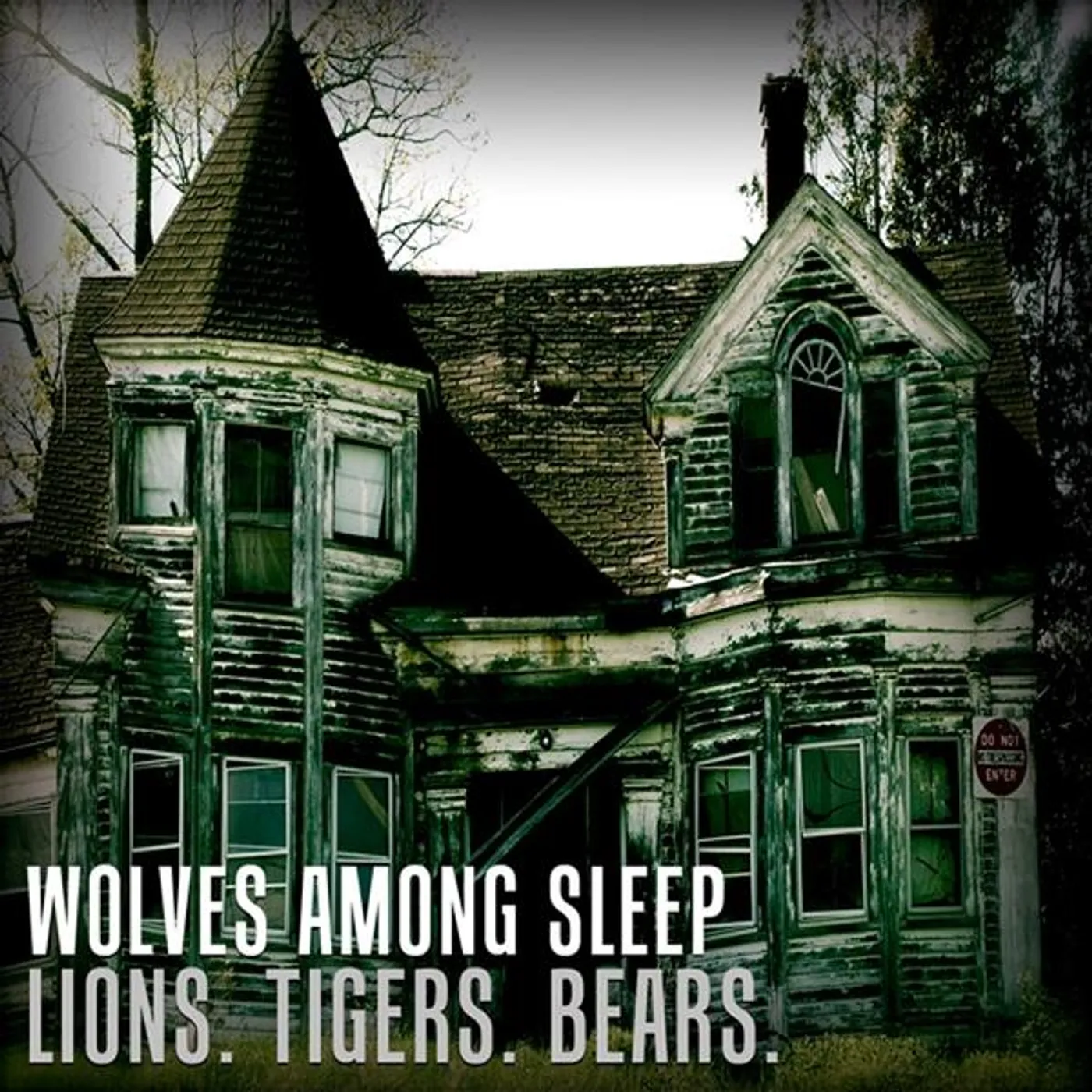 Wolves Among Sleep LIONS. TIGERS. BEARS. CD