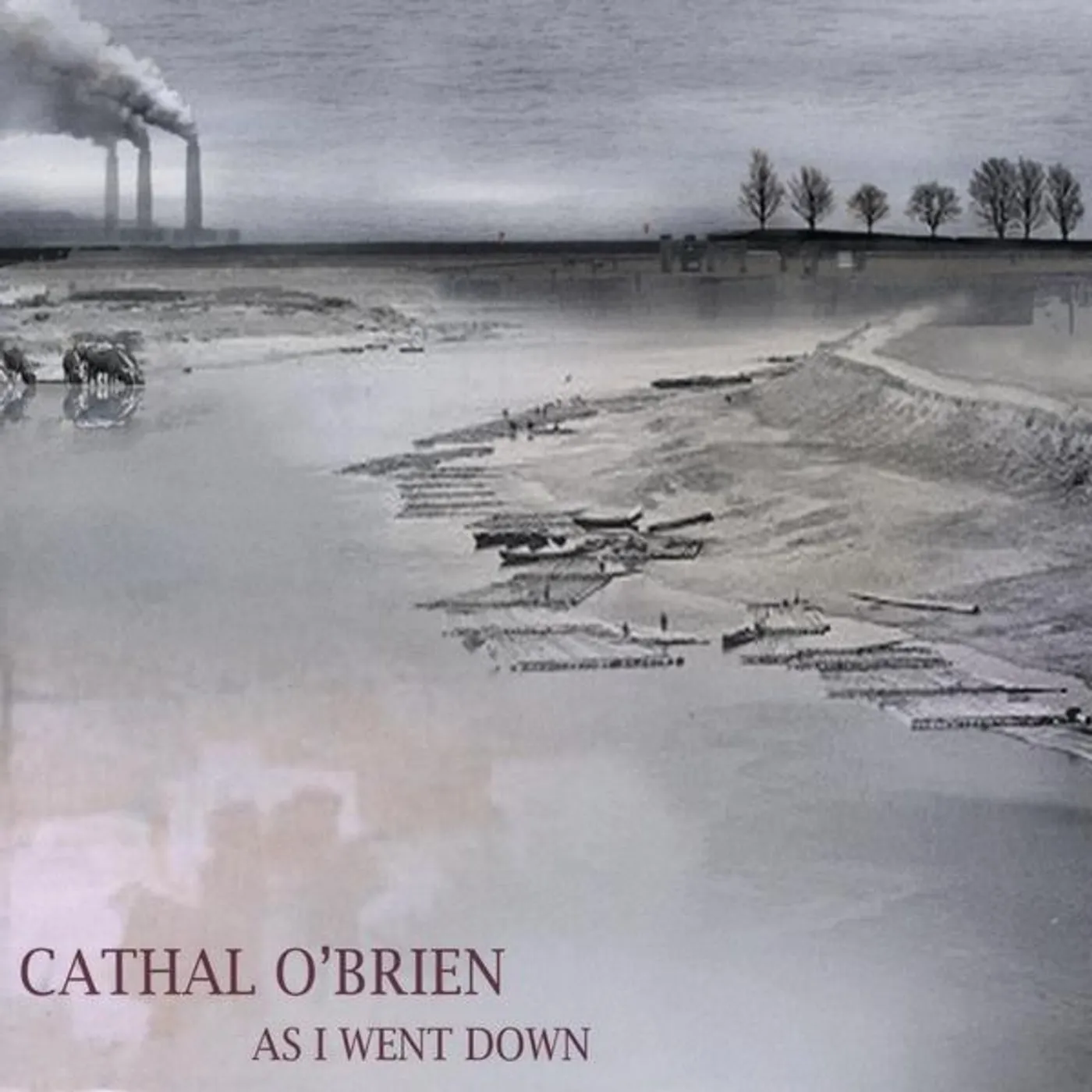 Cathal O'Brien AS I WENT DOWN CD