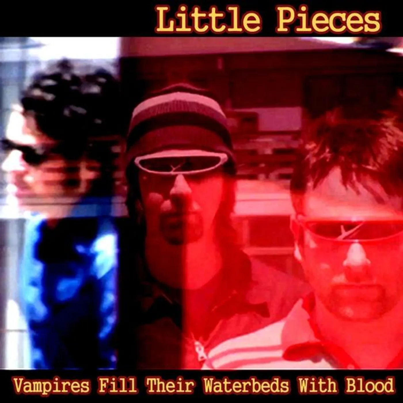 Little Pieces VAMPIRES FILL THEIR WATERBEDS WITH BLOOD CD