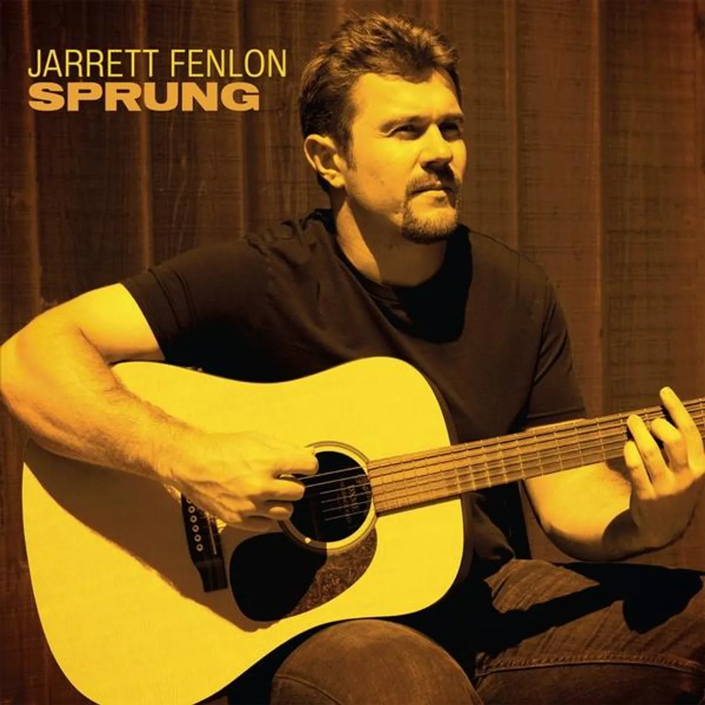 Jarrett Fenlon SPRUNG CD