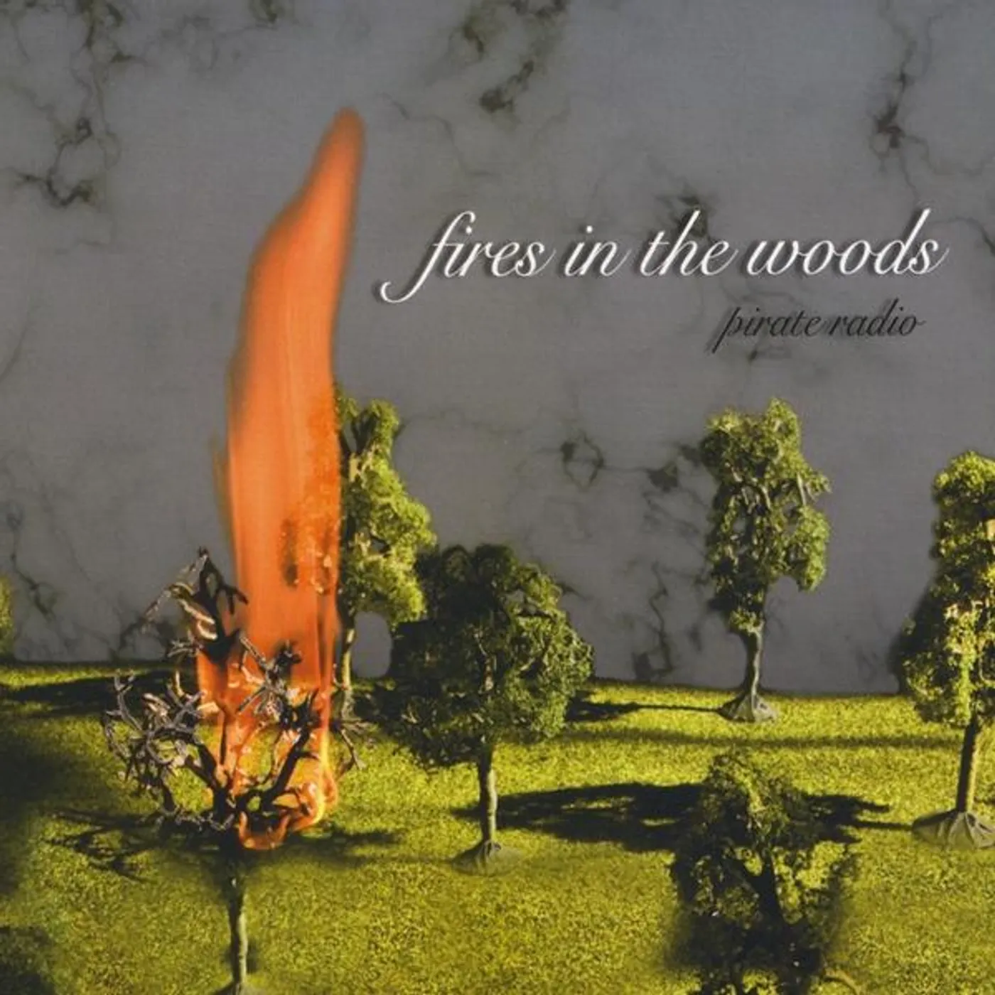Pirate Radio FIRES IN THE WOODS CD