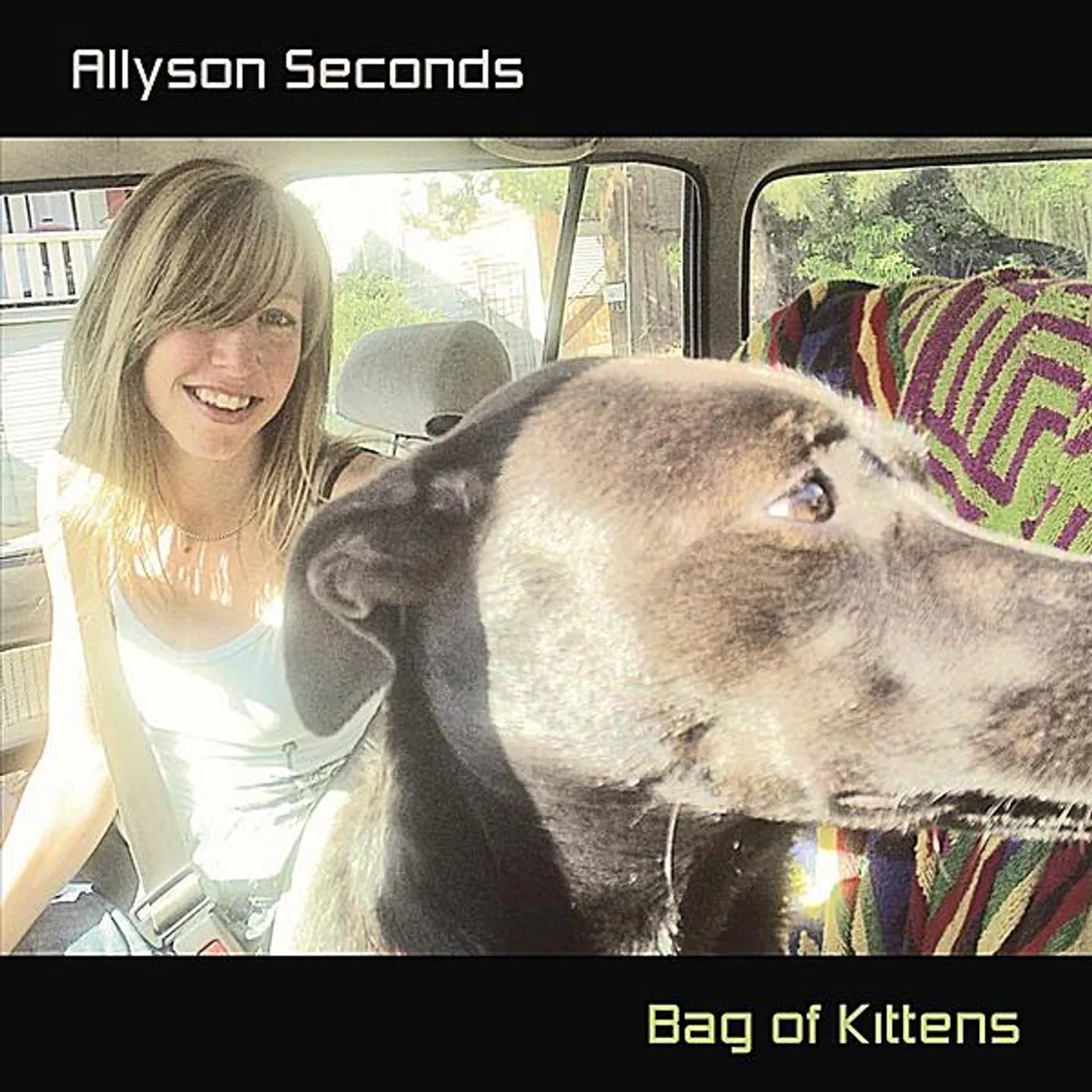Allyson Seconds BAG OF KITTENS CD