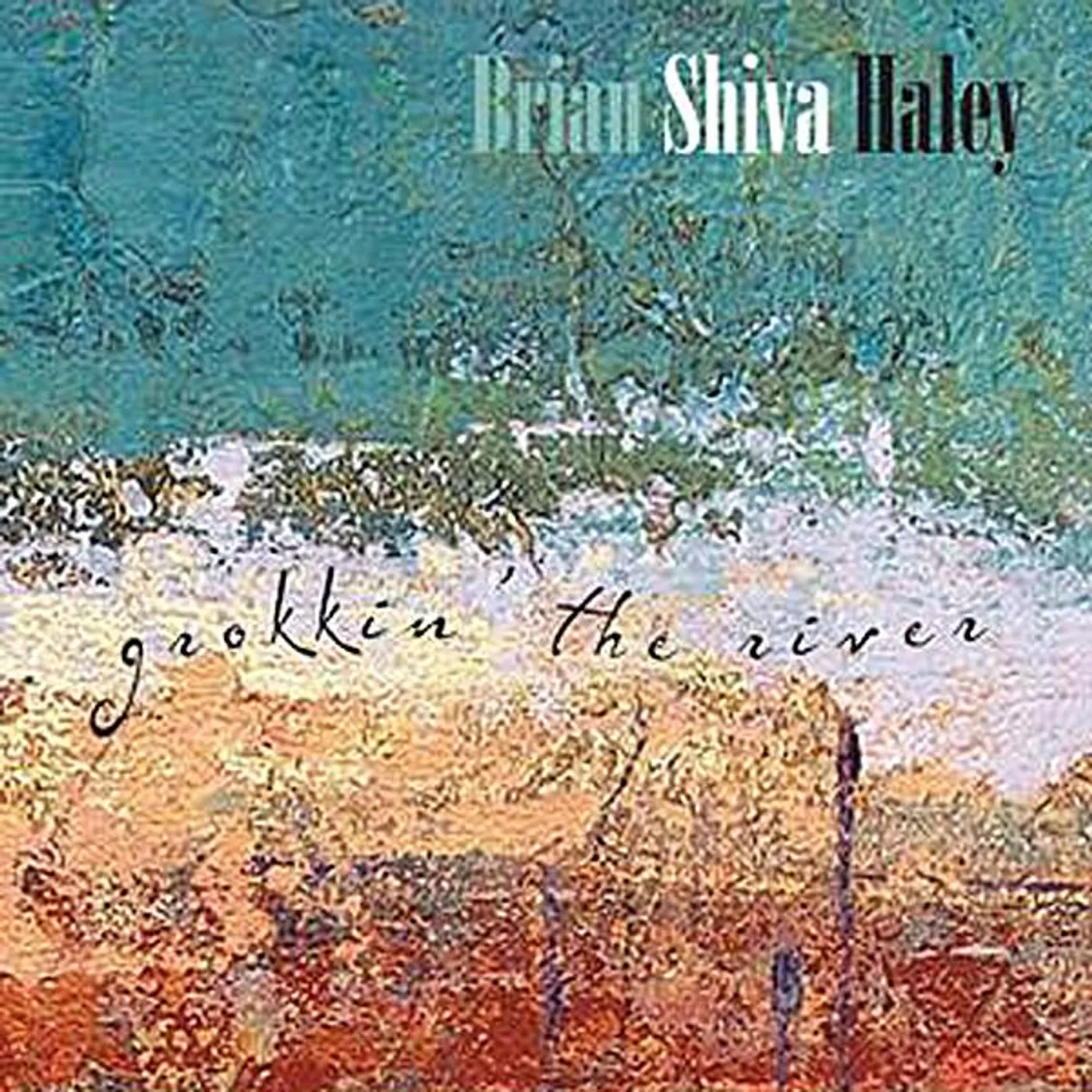 Brian Shiva Haley GROKKIN' THE RIVER CD