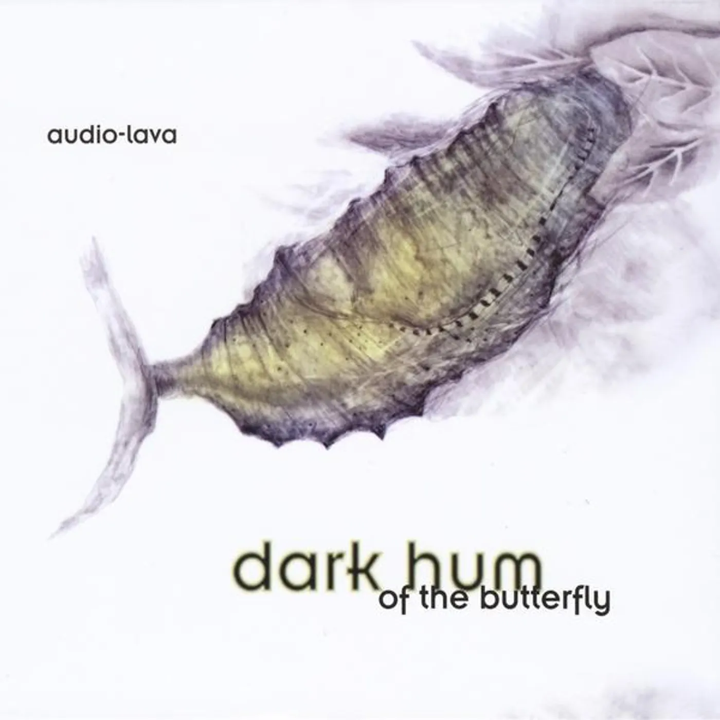 Audio Lava DARK HUM OF THE BUTTERFLY CD