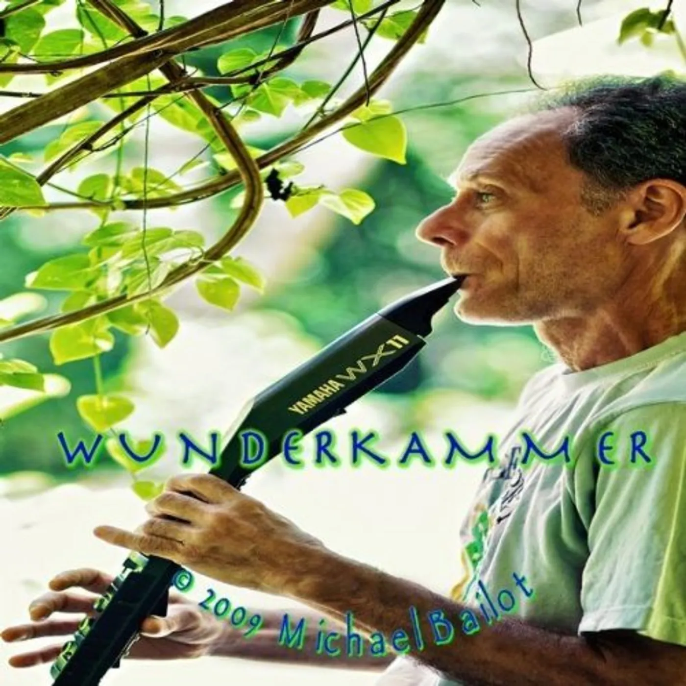 Michael Bailot WUNDERKAMMER CD