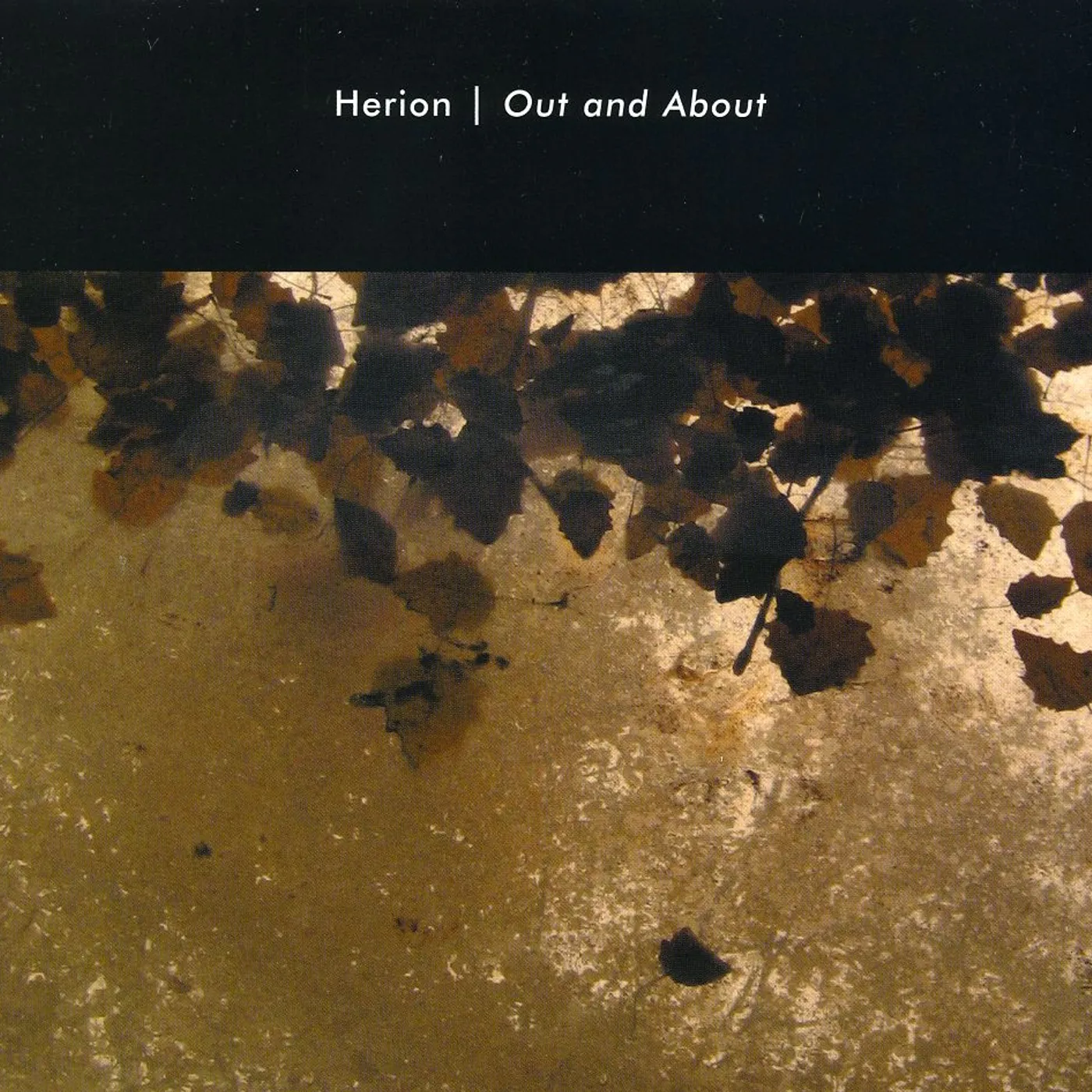Herion OUT & ABOUT CD