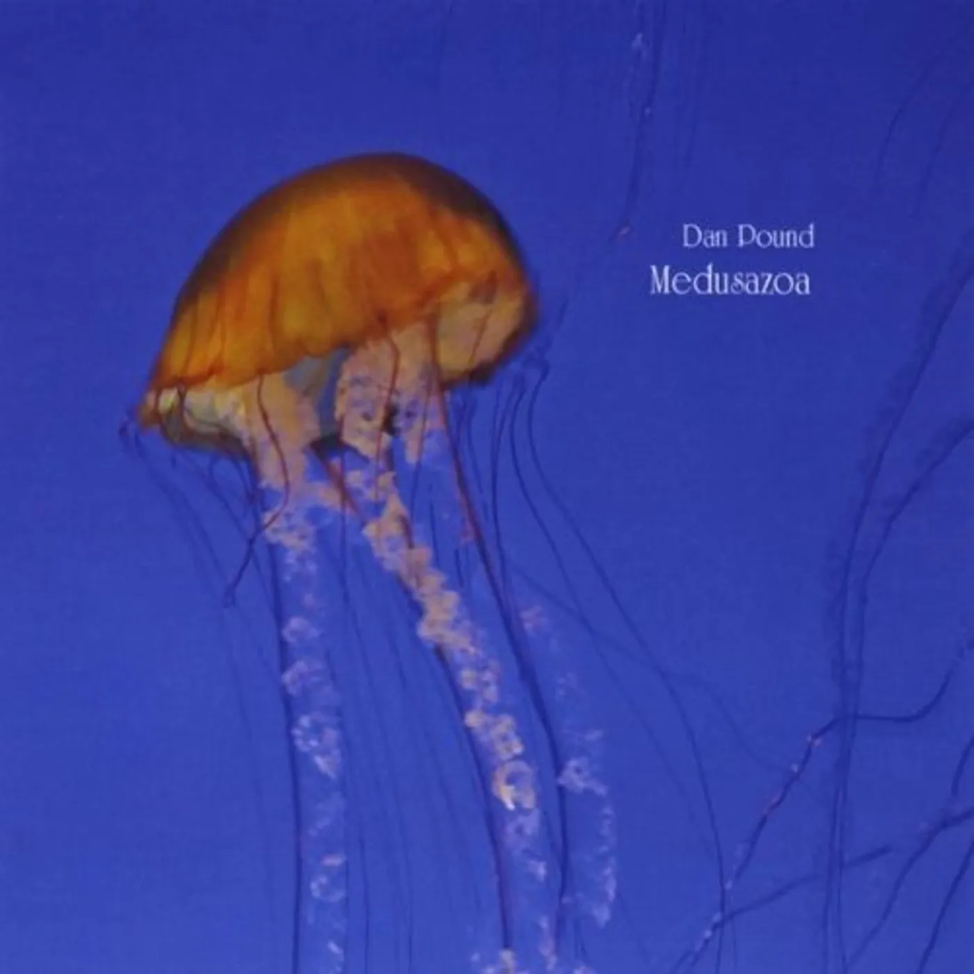 Dan Pound MEDUSAZOA CD