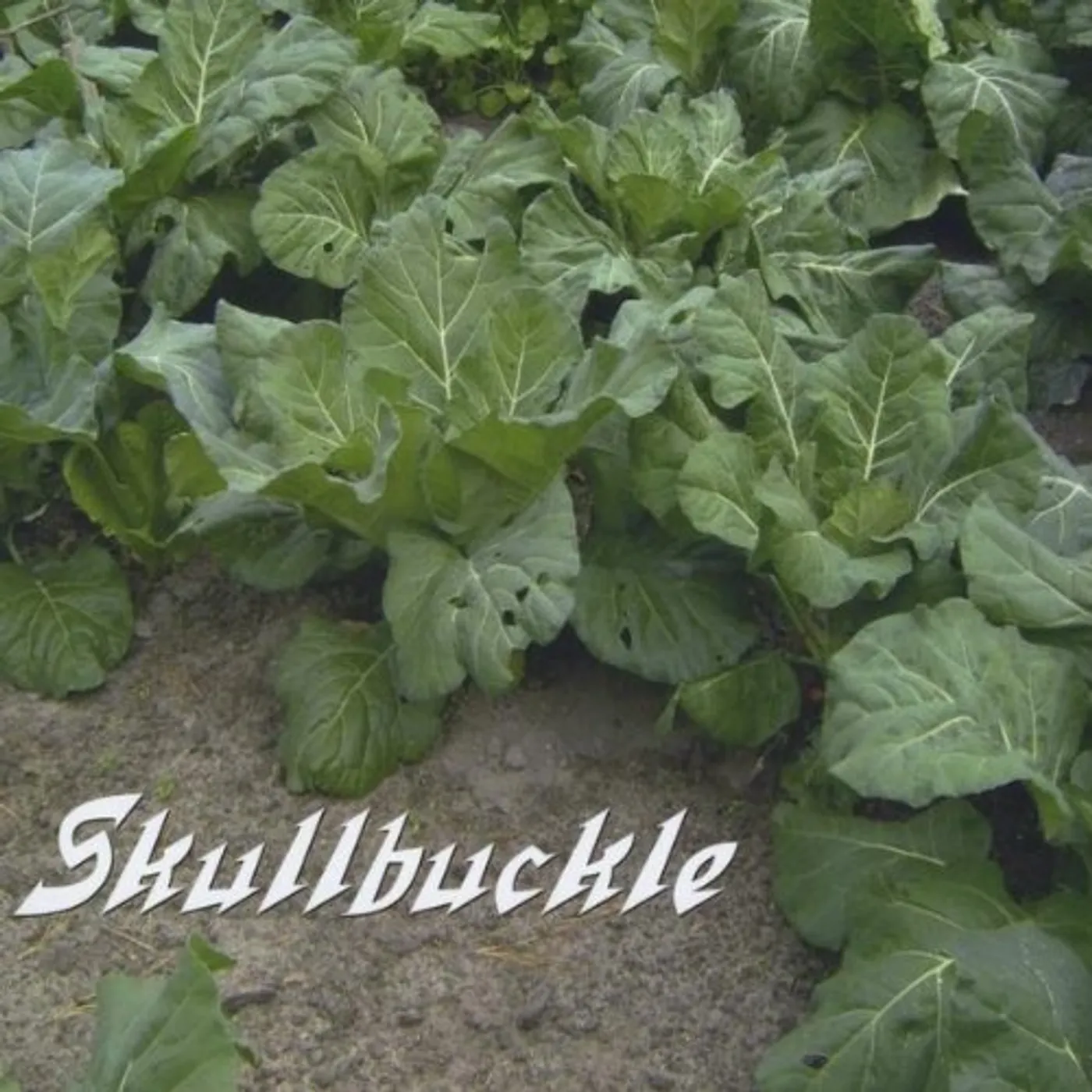 SKULLBUCKLE CD