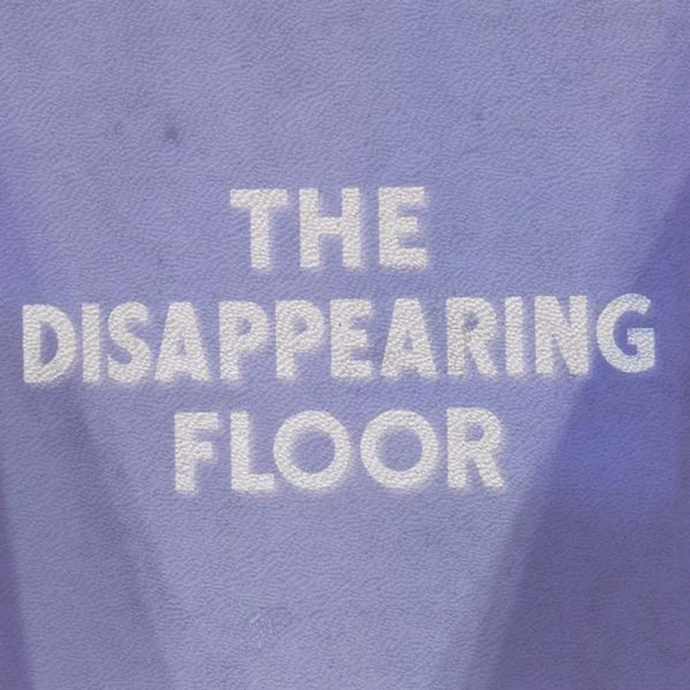 Andy Hayleck DISAPPEARING FLOOR CD