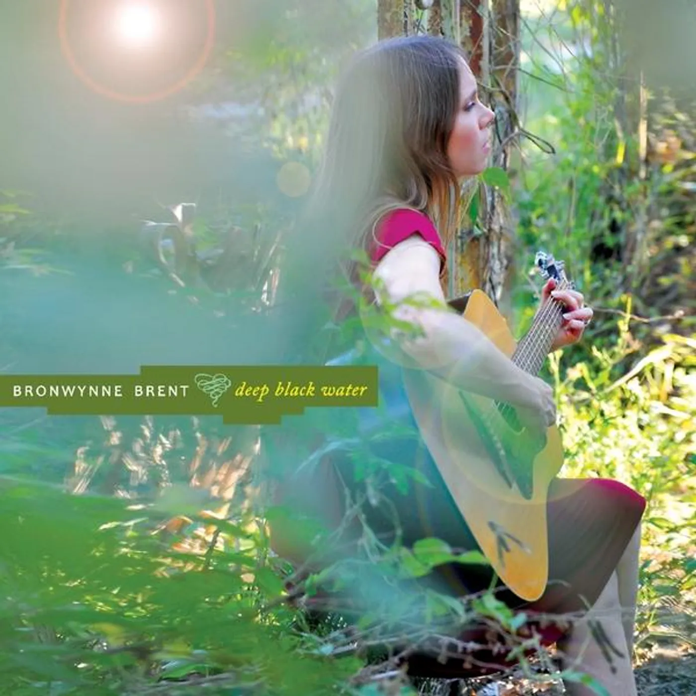 Bronwynne Brent DEEP BLACK WATER CD