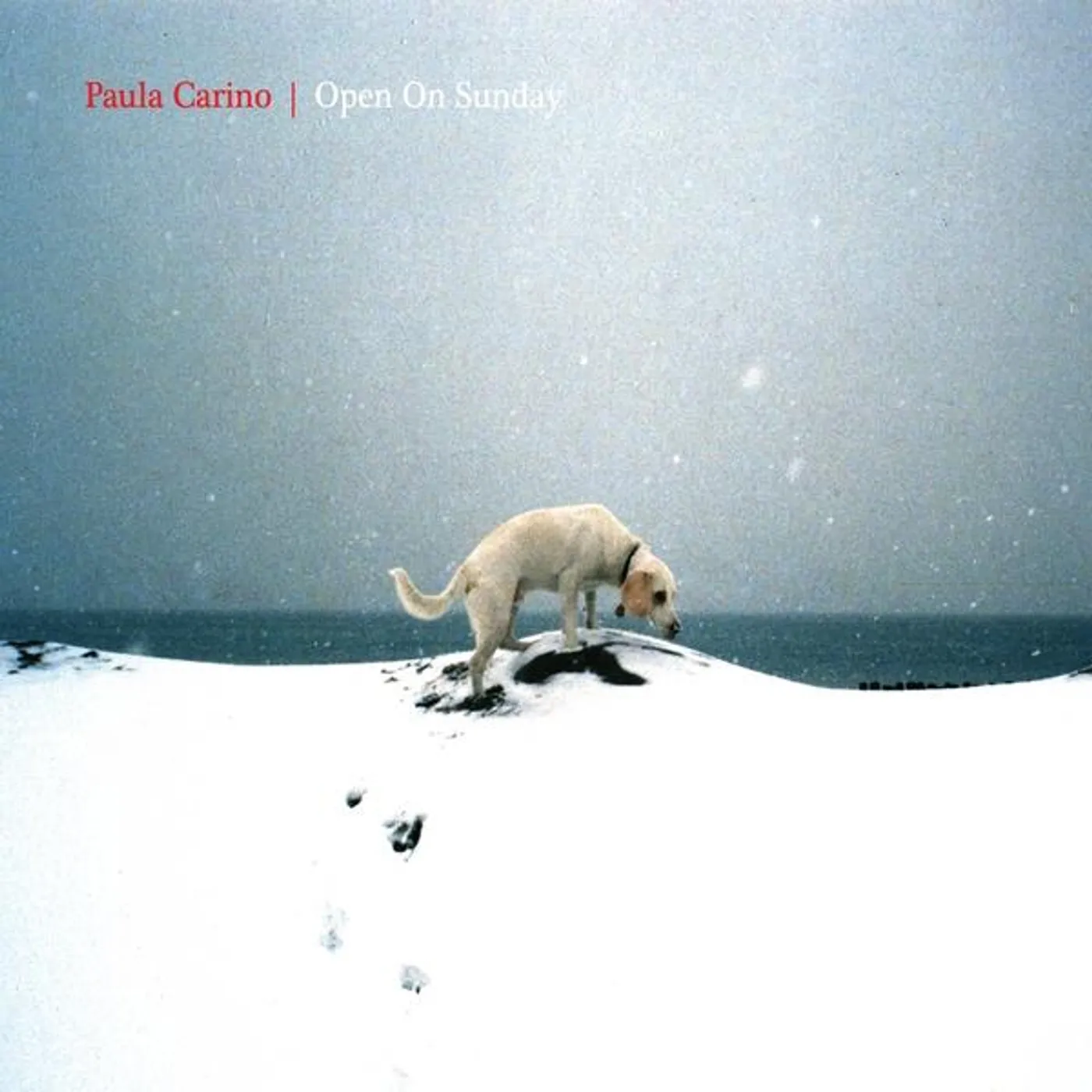 Paula Carino OPEN ON SUNDAY CD