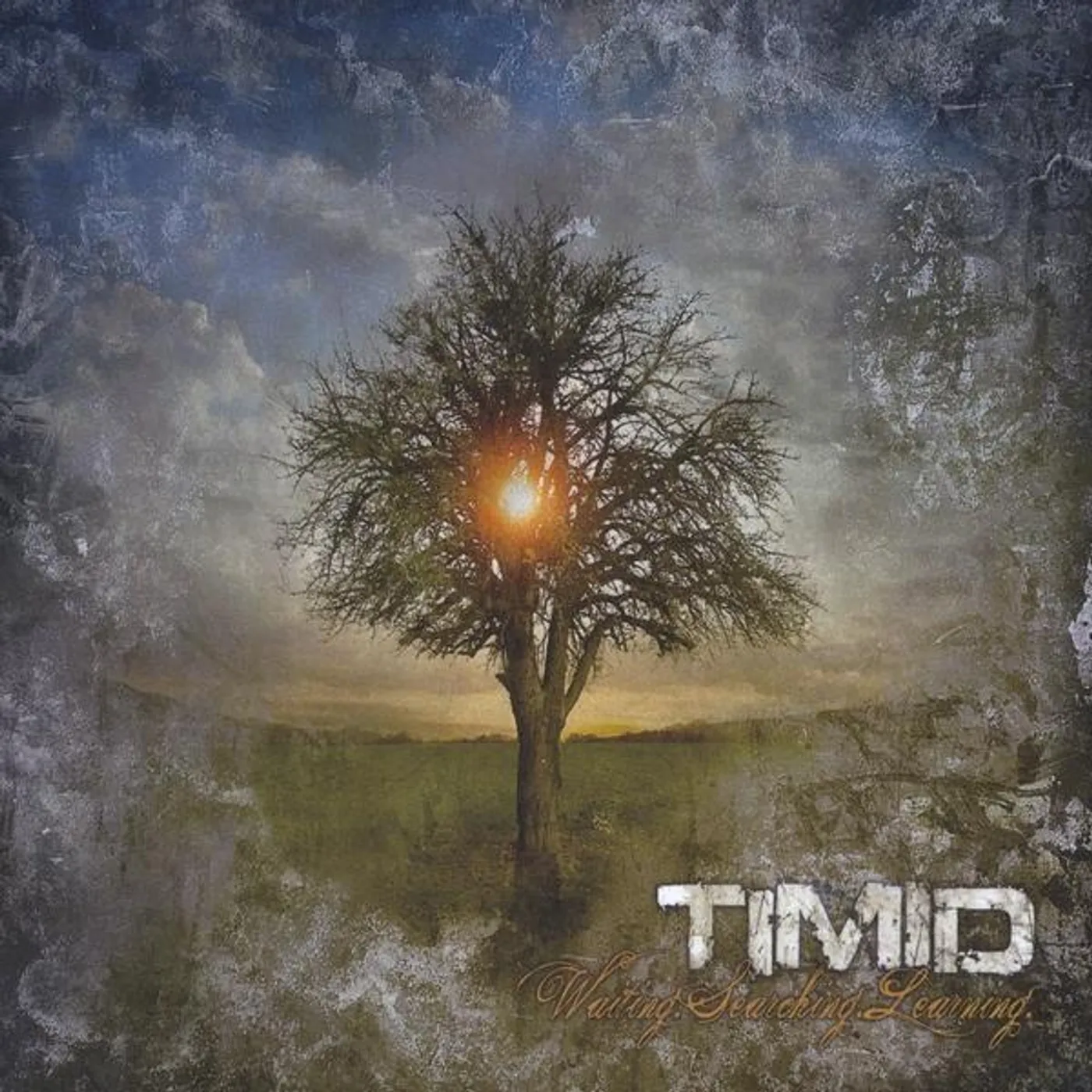 Timid WAITING.SEARCHING.LEARNING. CD