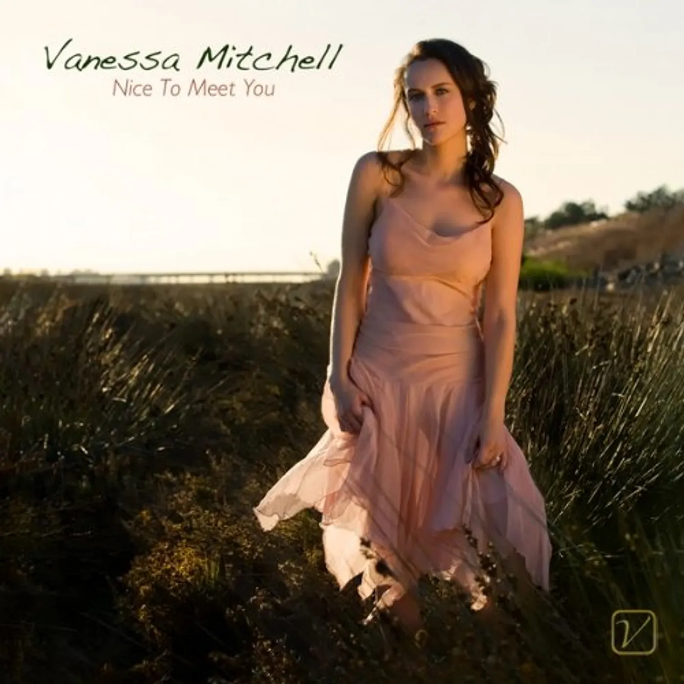 Vanessa Mitchell NICE TO MEET YOU CD