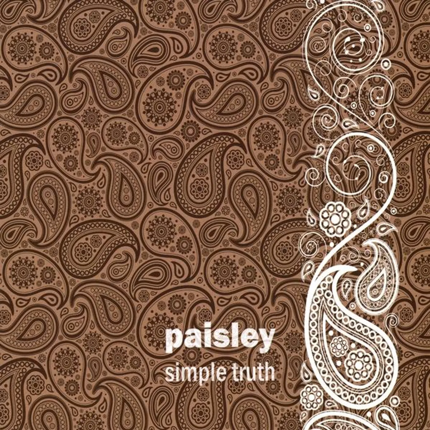 Paisley SIMPLE TRUTH CD