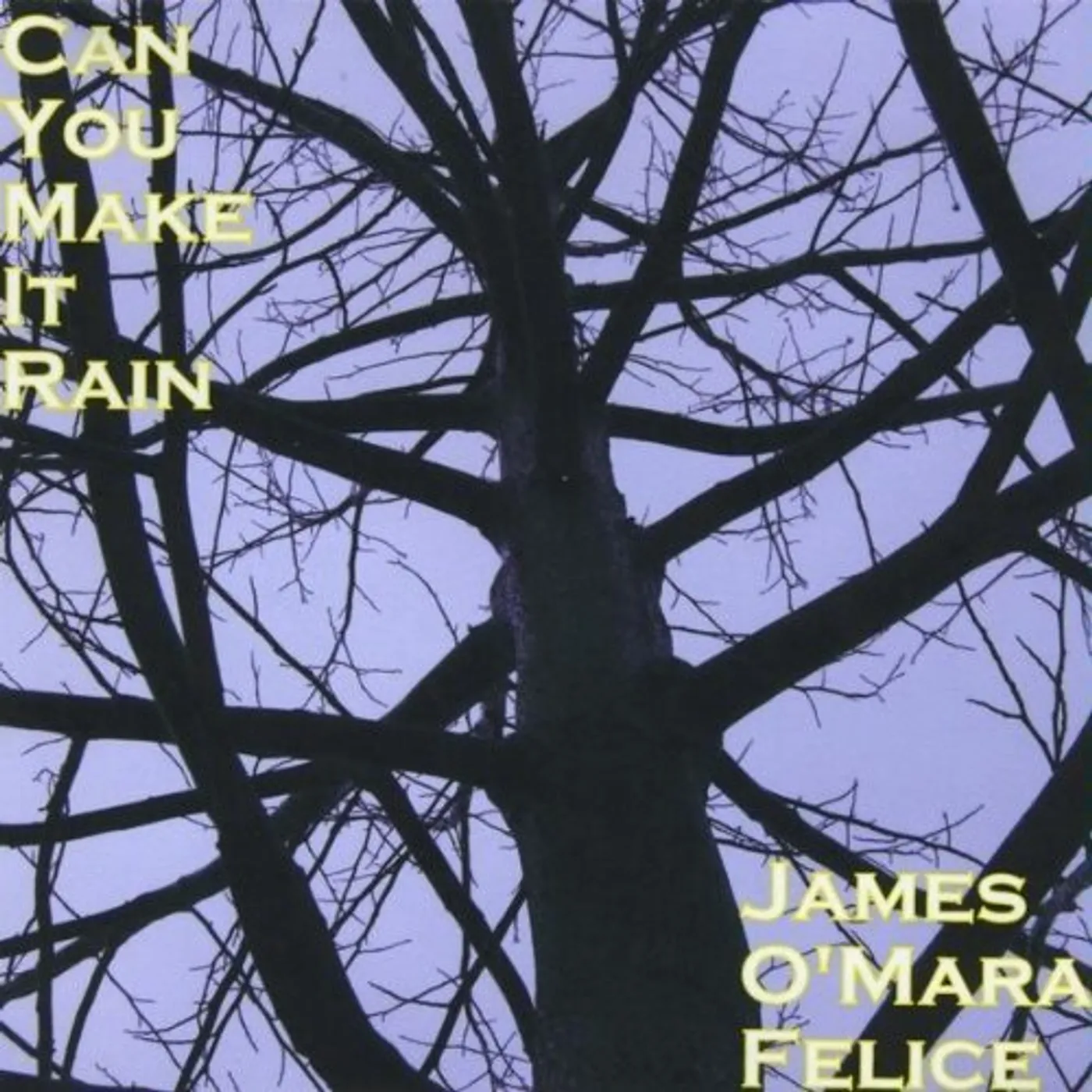 James O'Mara Felice CAN YOU MAKE IT RAIN CD