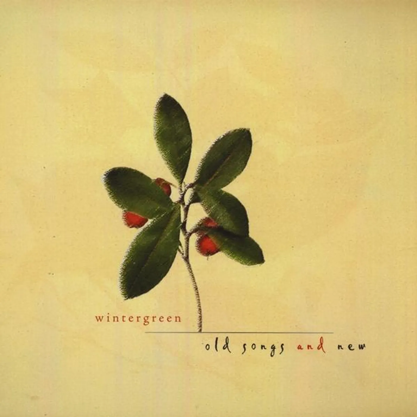 Wintergreen OLD SONGS & NEW CD