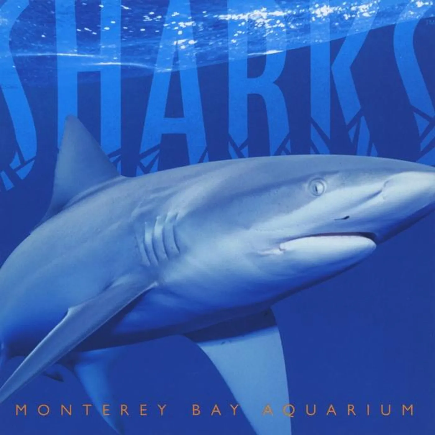 Douglas Morton SHARKS: MYTH & MYSTERY CD