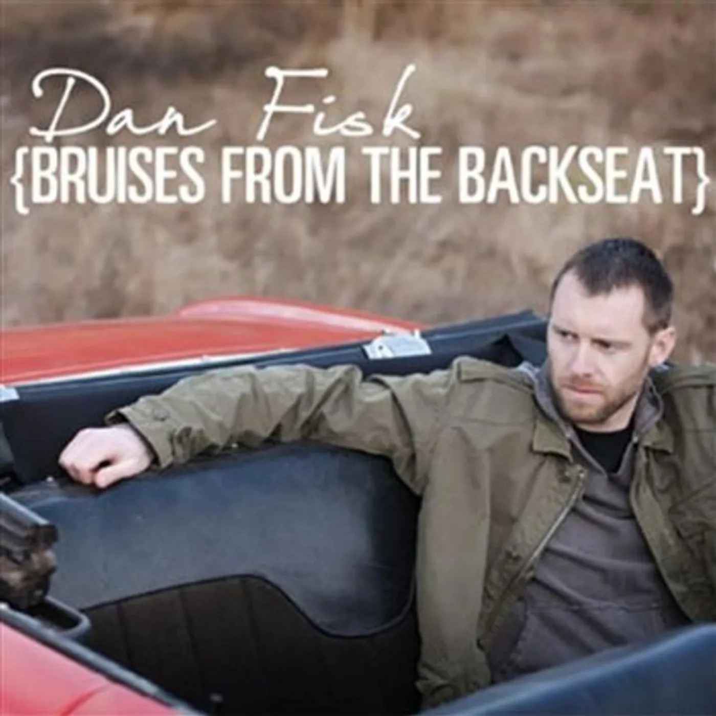 Dan Fisk BRUISES FROM THE BACKSEAT CD