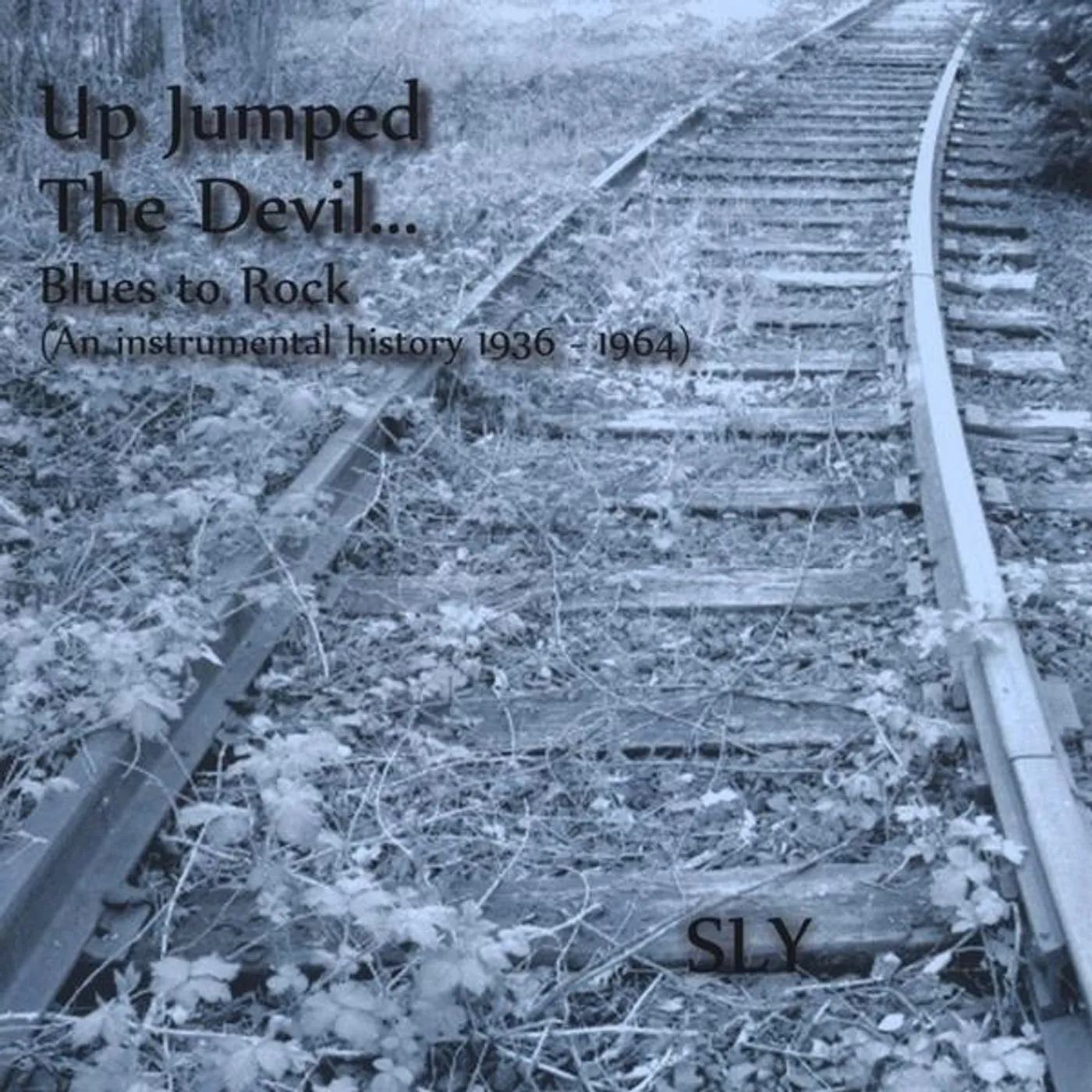 Sly UP JUMPED THE DEVIL: BLUES TO ROCK CD