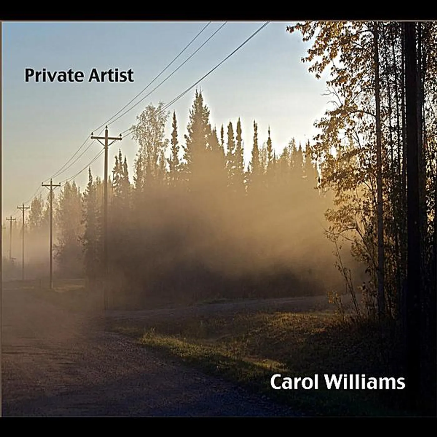 Carol Williams 1708164 PRIVATE ARTIST: COMMENTARIES ON LIFE CD
