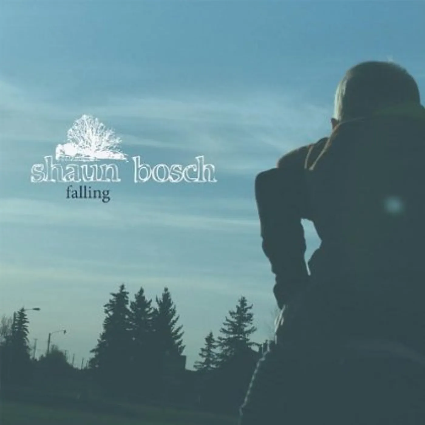 Shaun Bosch FALLING CD