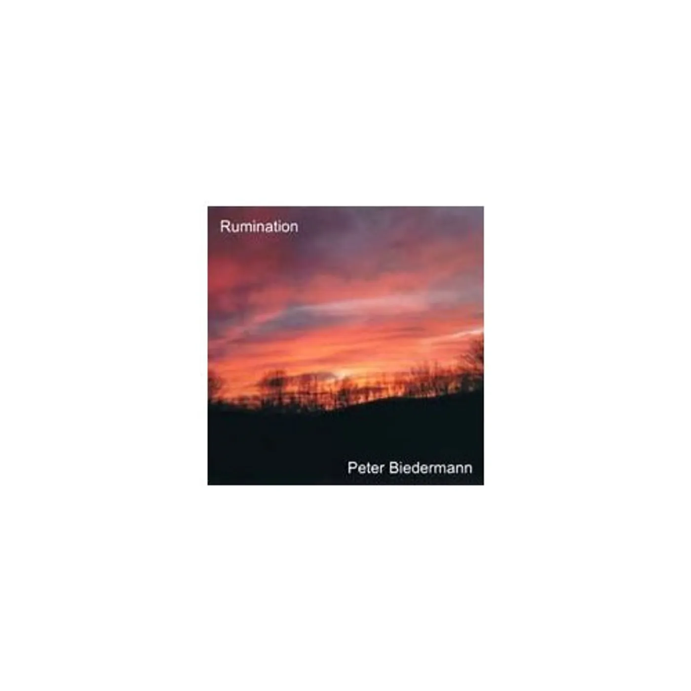 Peter Biedermann RUMINATION CD