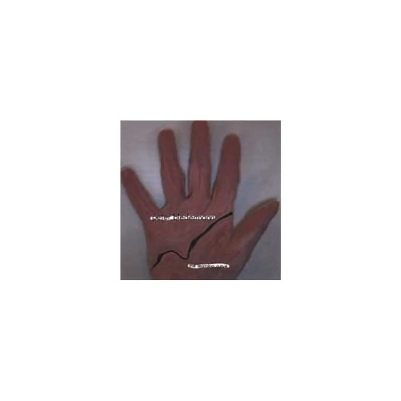 Peter Biedermann LEARNING CURVE CD