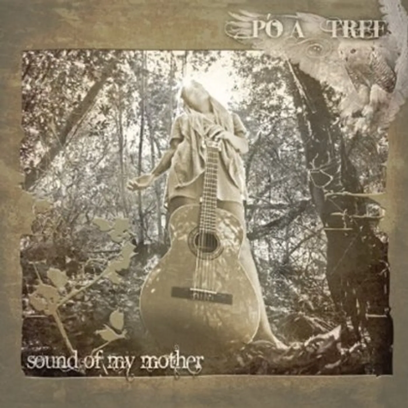 Po-A-Tree SOUND OF MY MOTHER CD