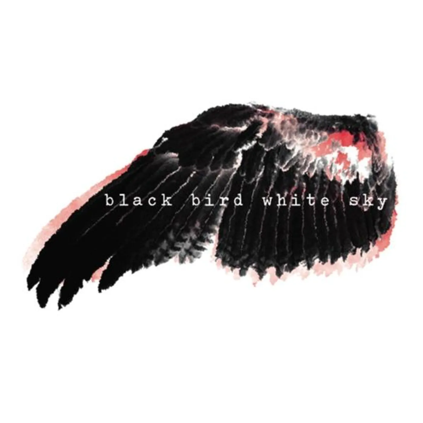 BLACK BIRD WHITE SKY CD