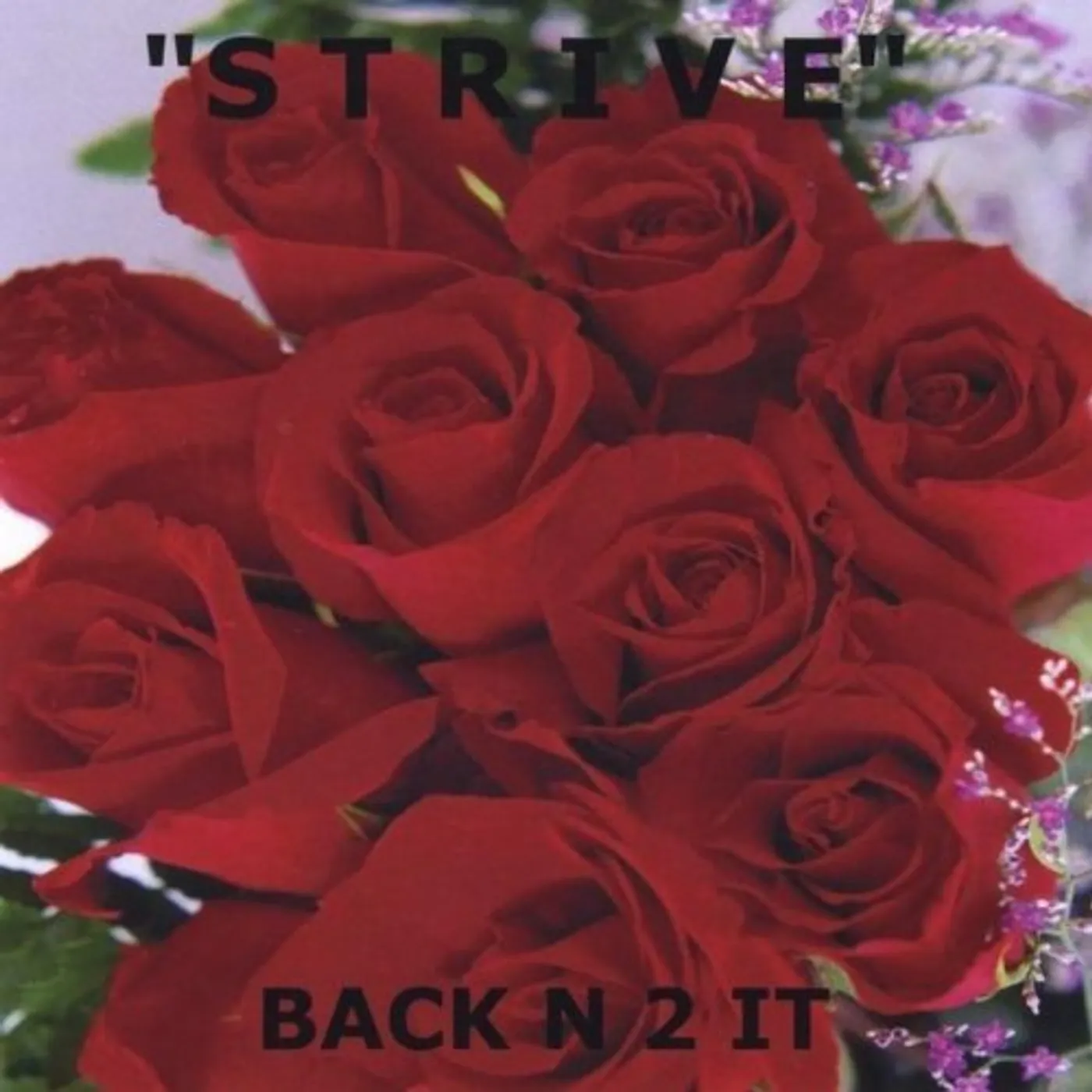 S T R I V E BACK N 2 IT CD