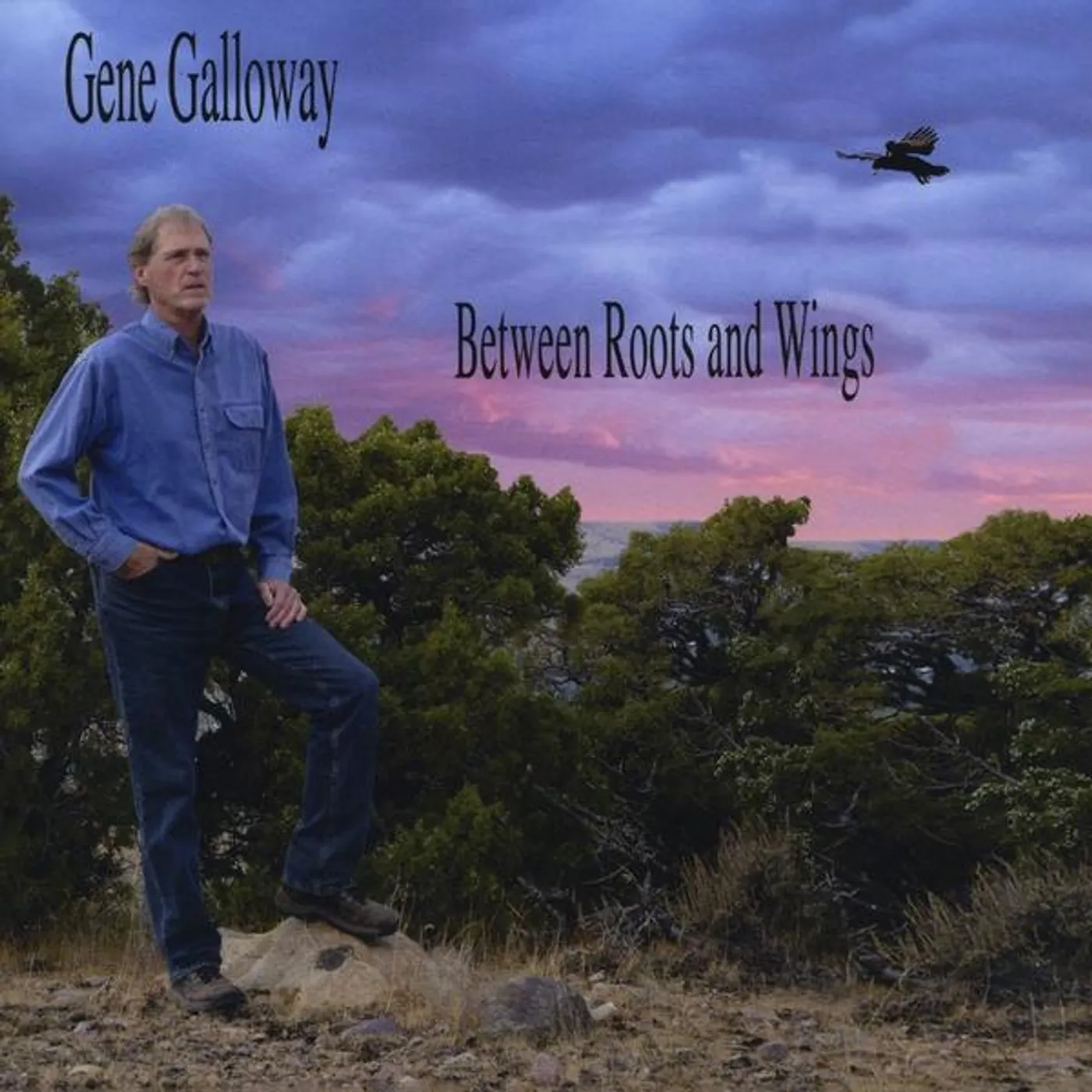 Gene Galloway BETWEEN ROOTS & WINGS CD