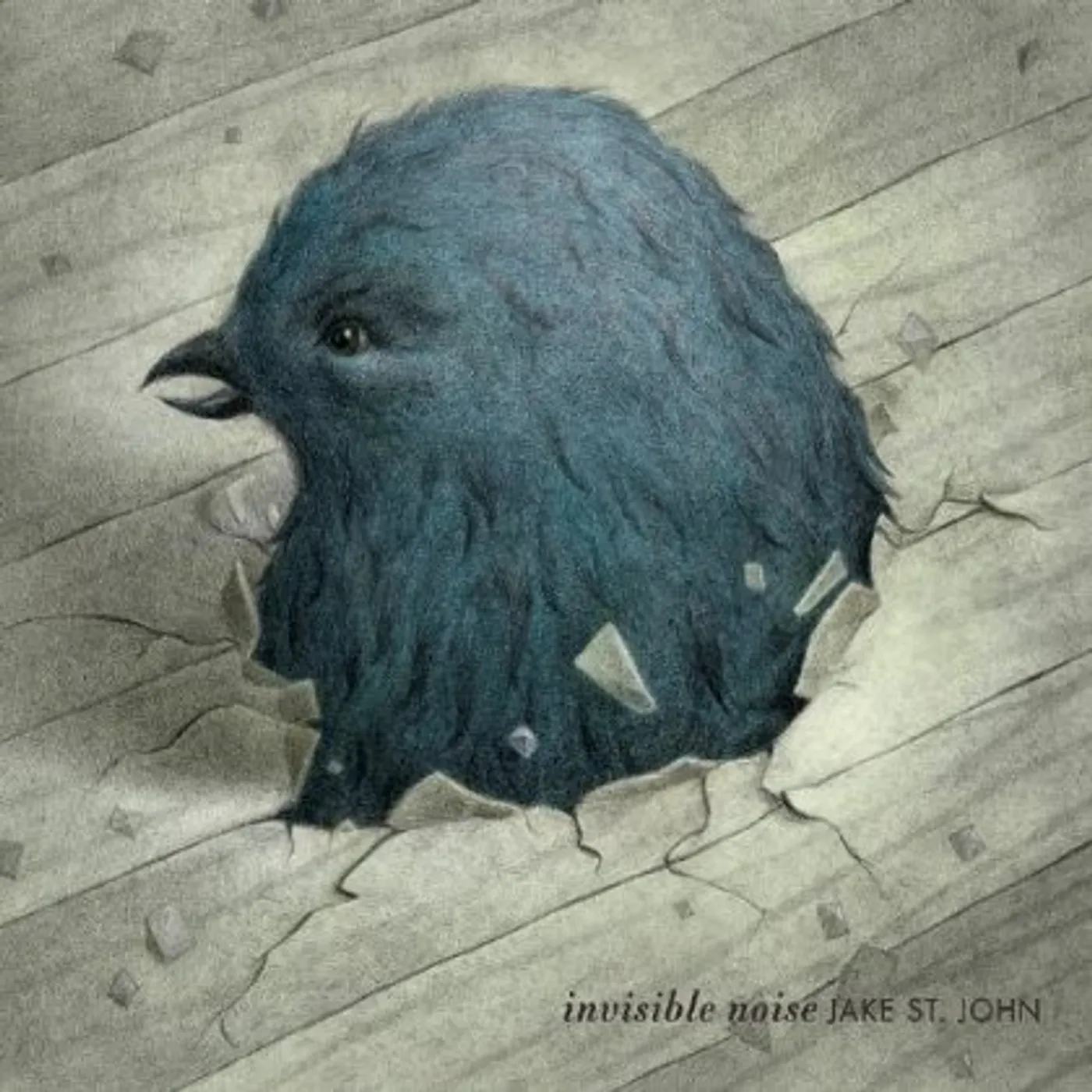 Jake St. John INVISIBLE NOISE CD